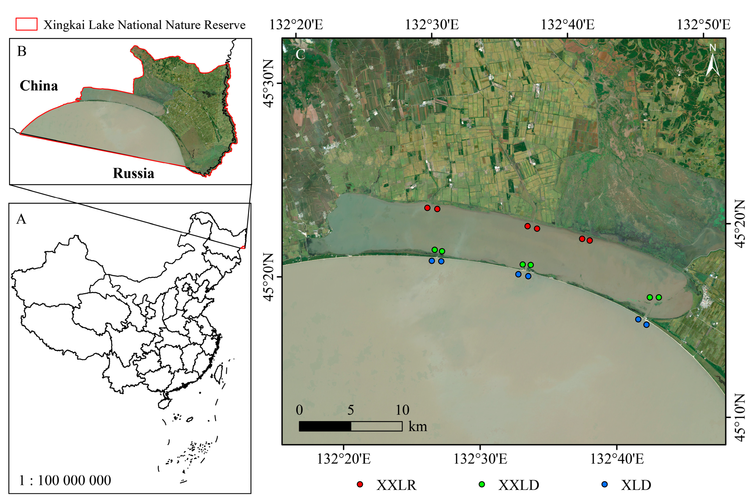 Microorganisms 11 00676 g001