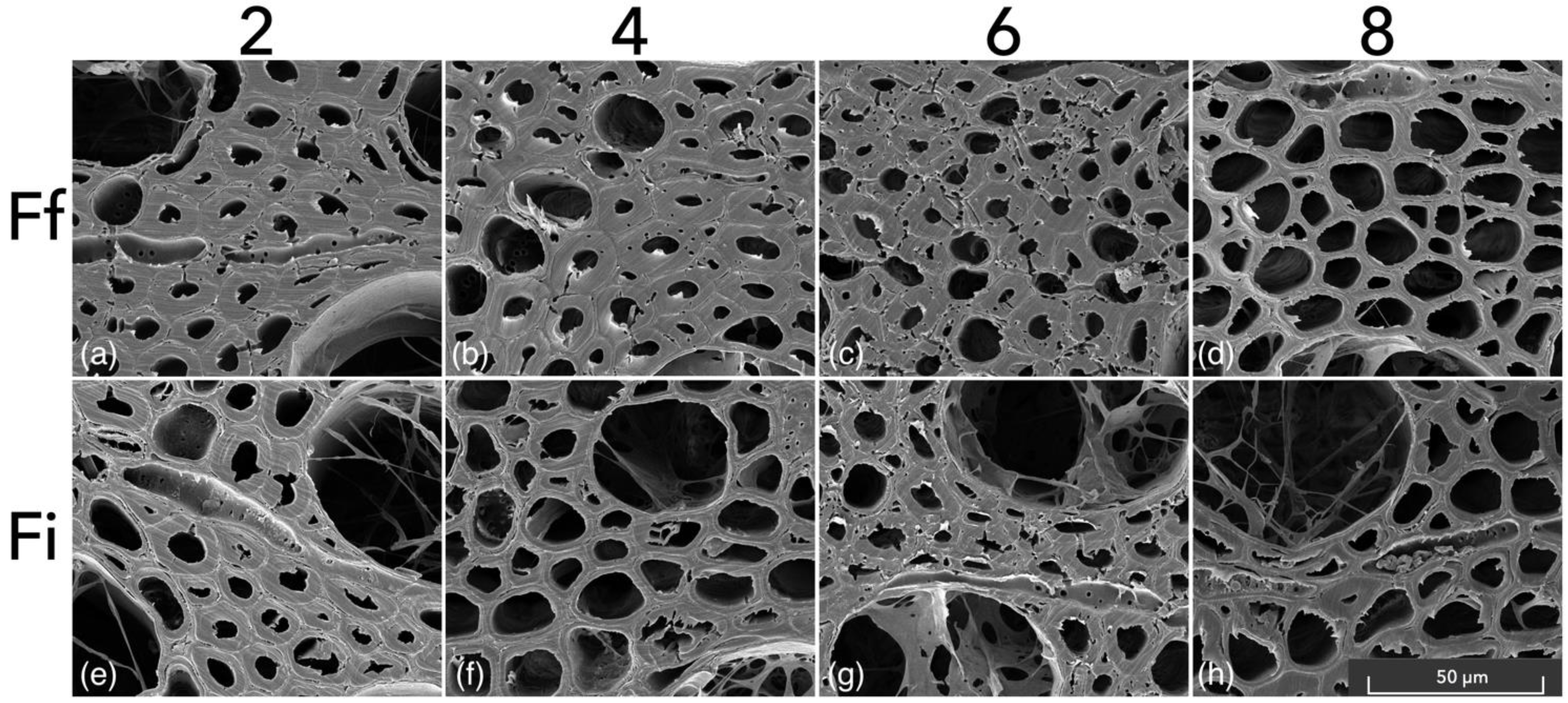 Microorganisms 11 00679 g003