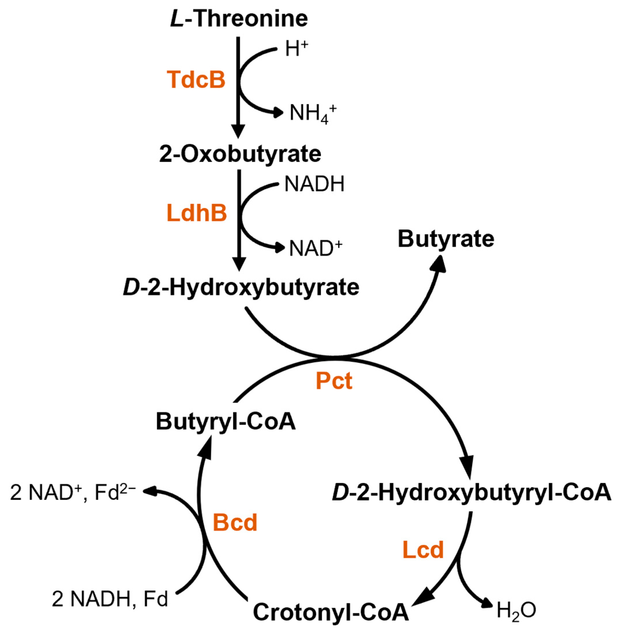 Microorganisms 11 00685 g004