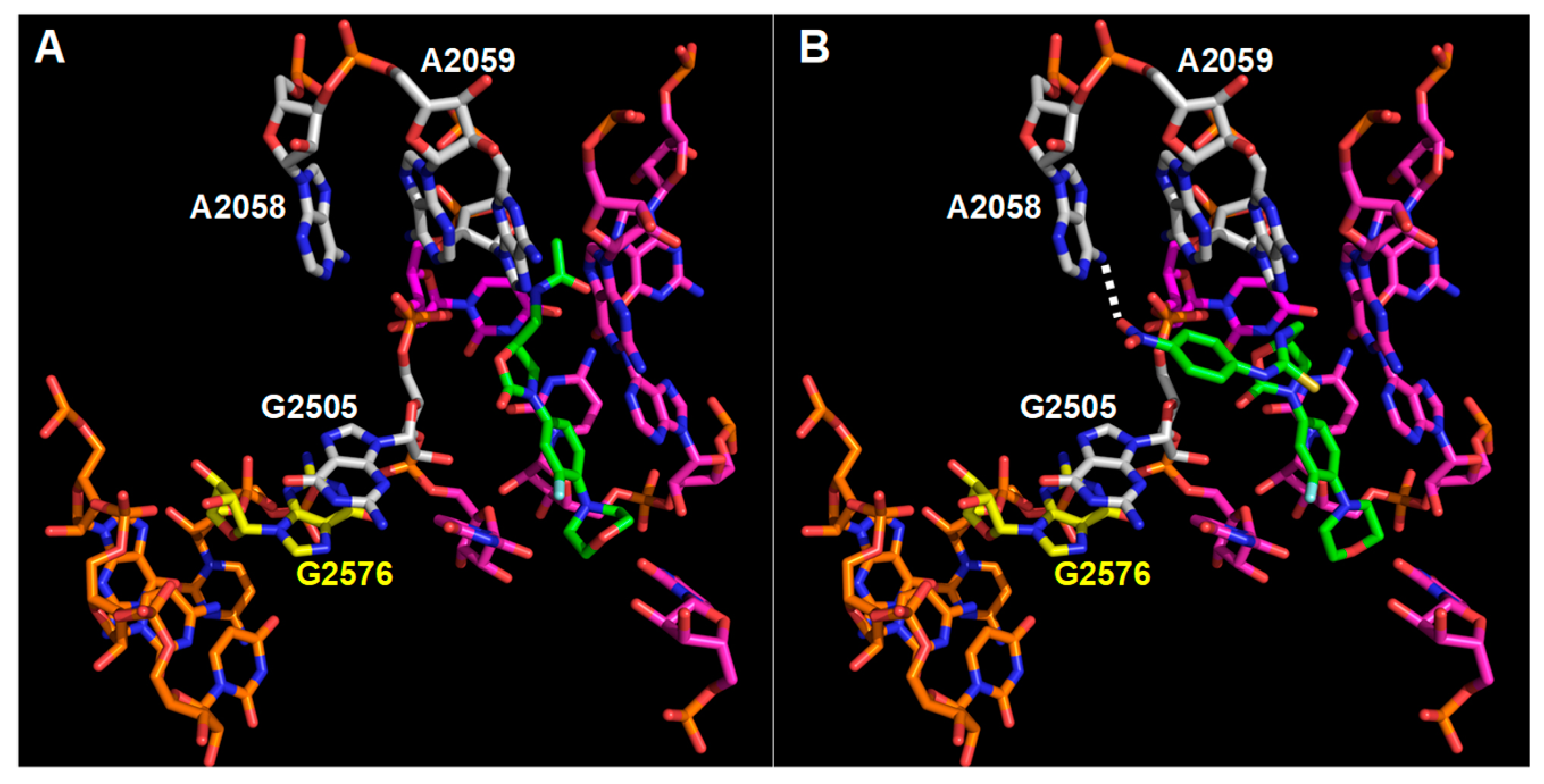 Microorganisms 11 00700 g002