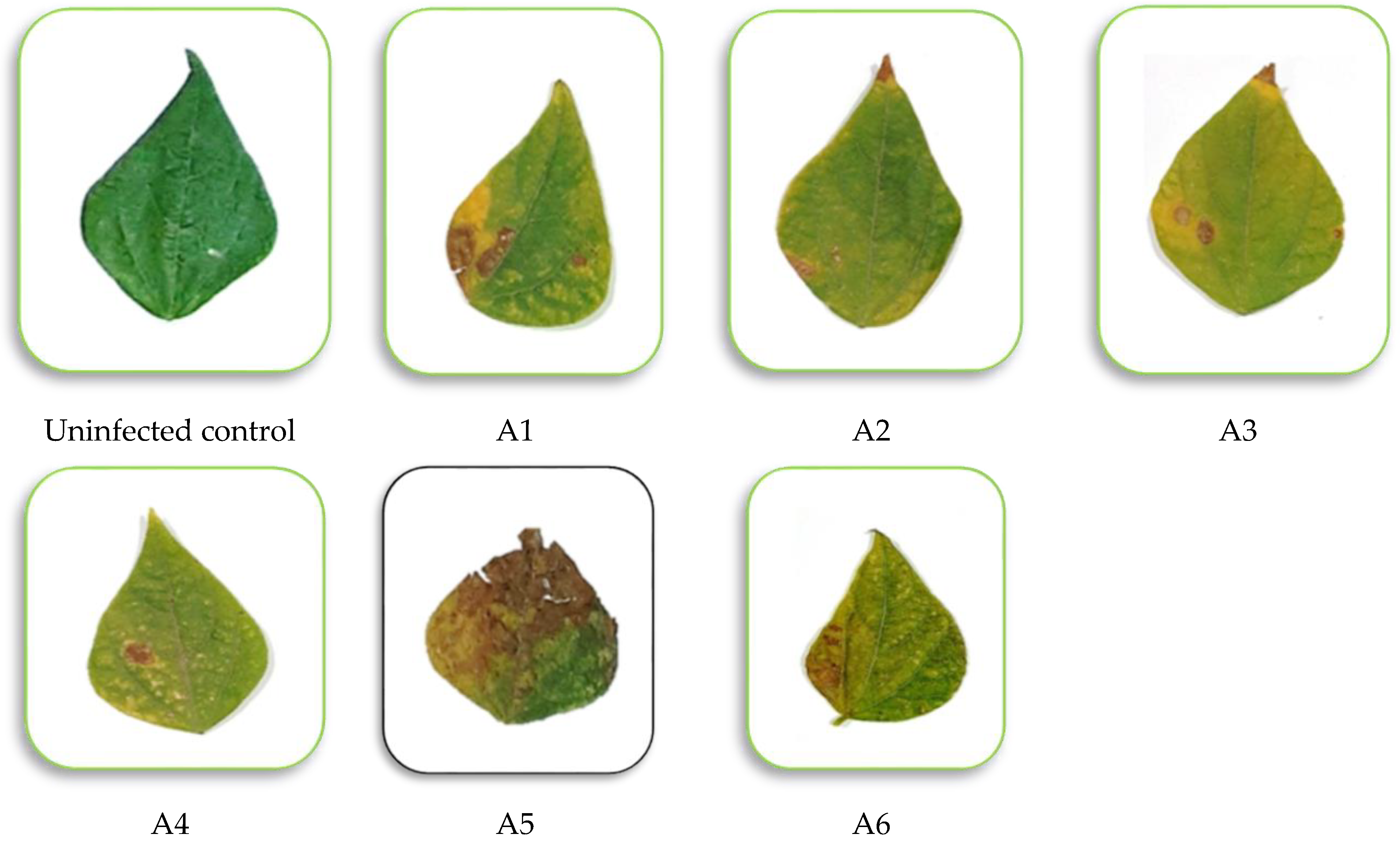 Microorganisms 11 00728 g002