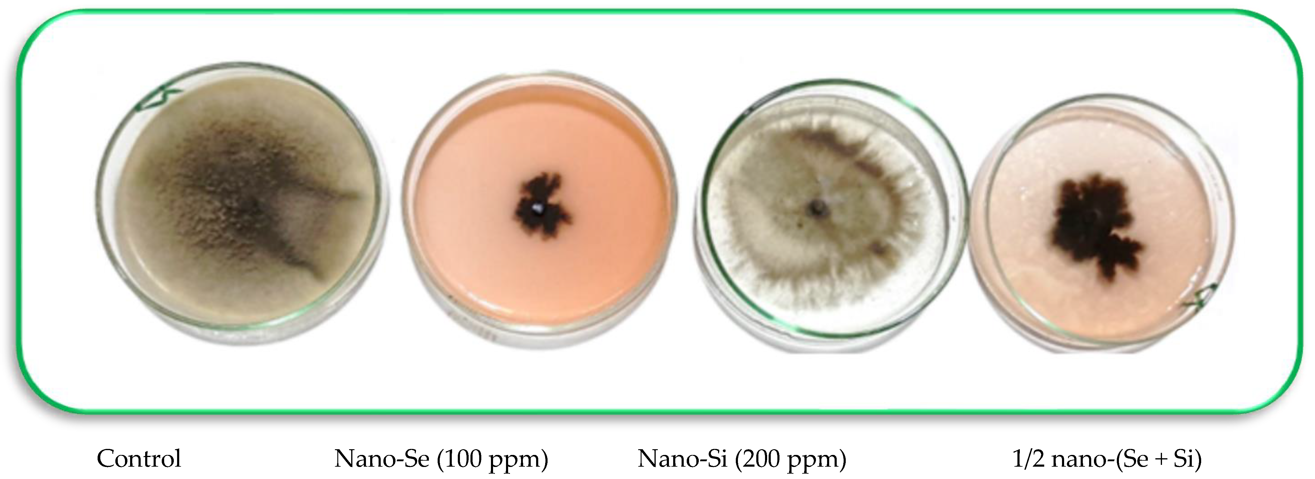 Microorganisms 11 00728 g003