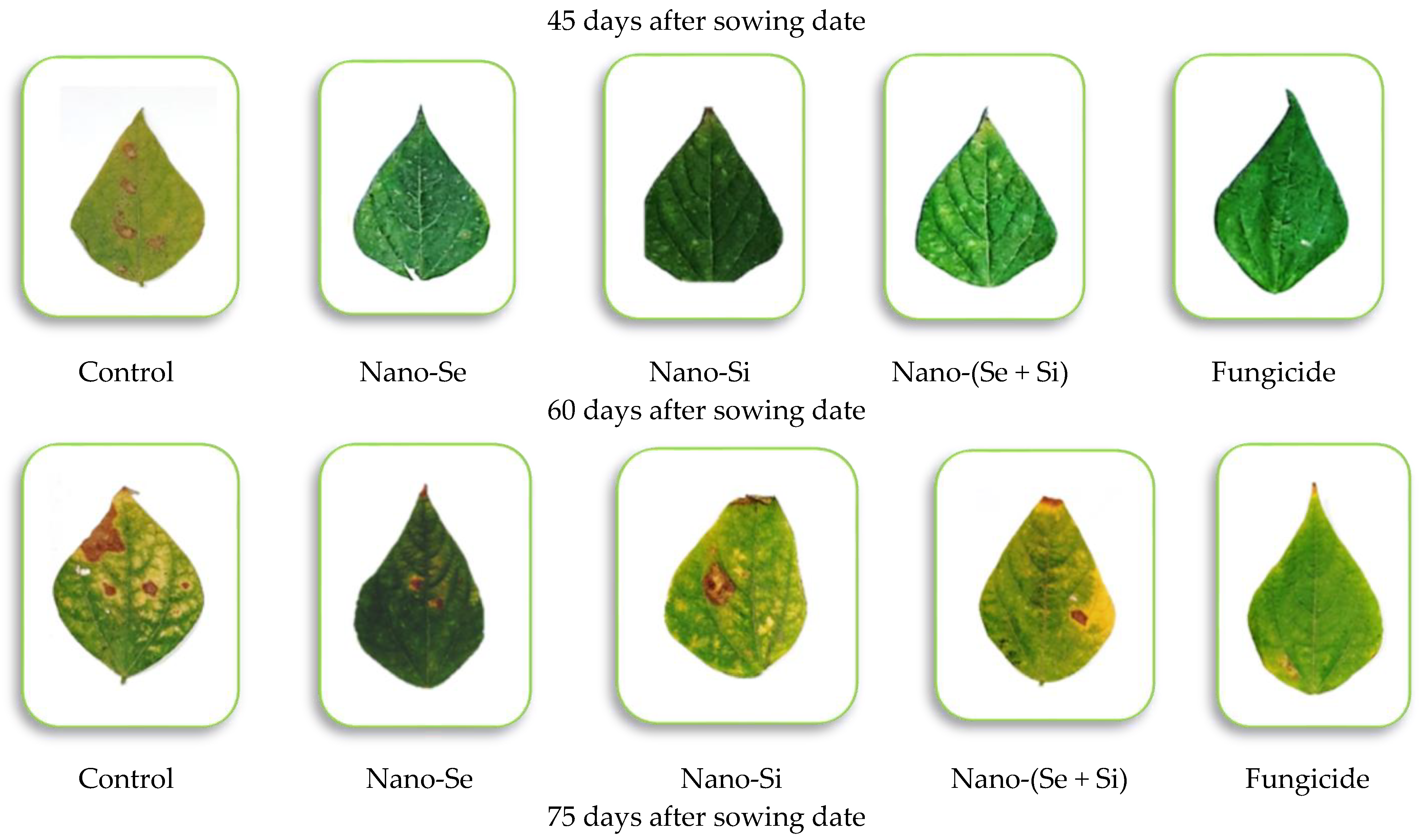 Microorganisms 11 00728 g006a