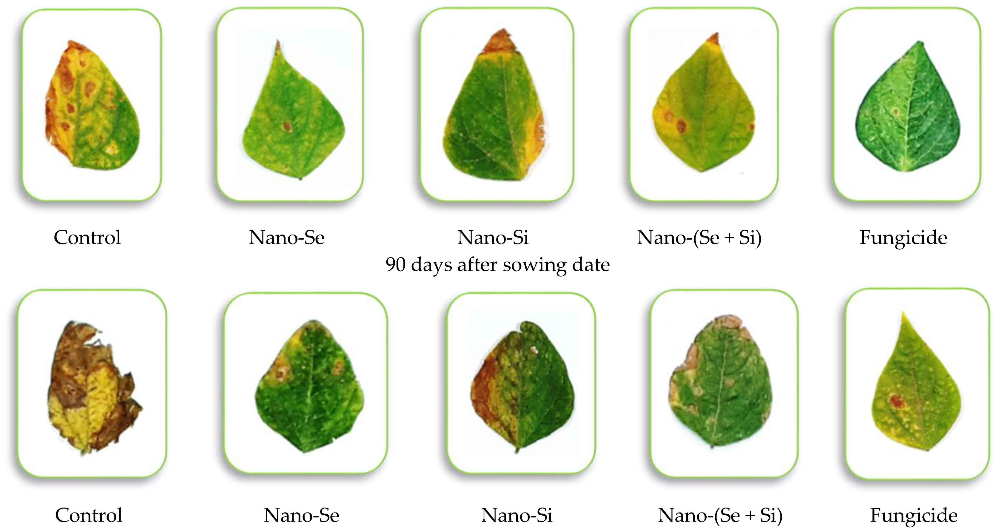 Microorganisms 11 00728 g006b