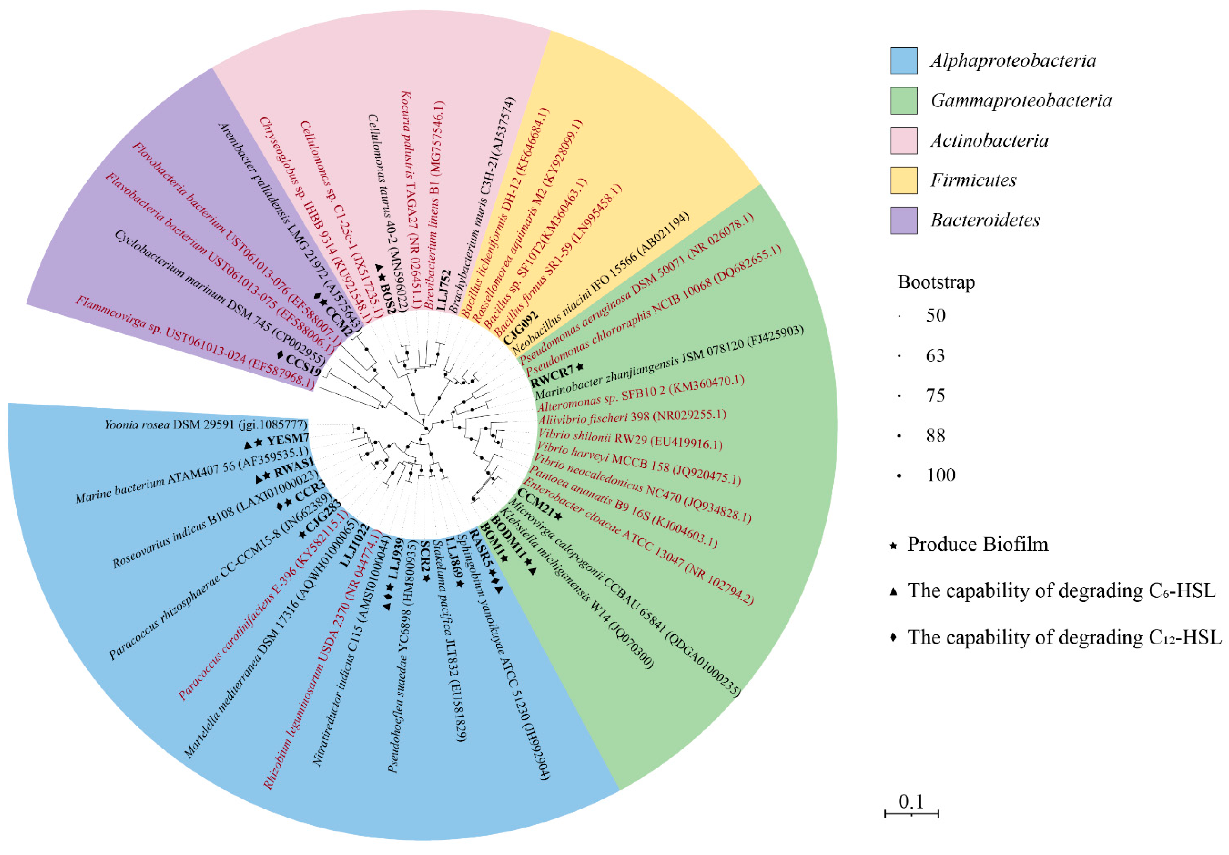 Microorganisms 11 00748 g001