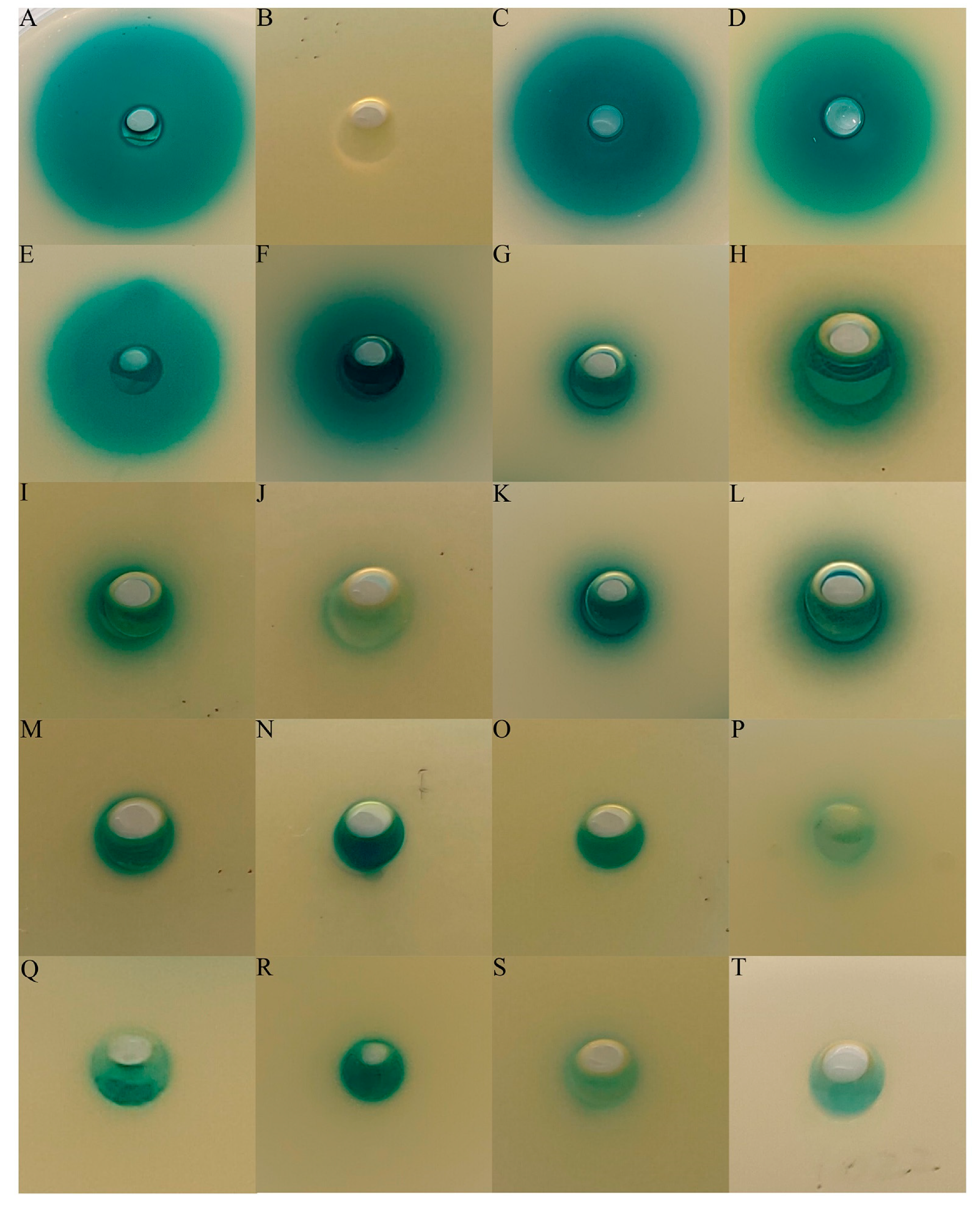 Microorganisms 11 00748 g002