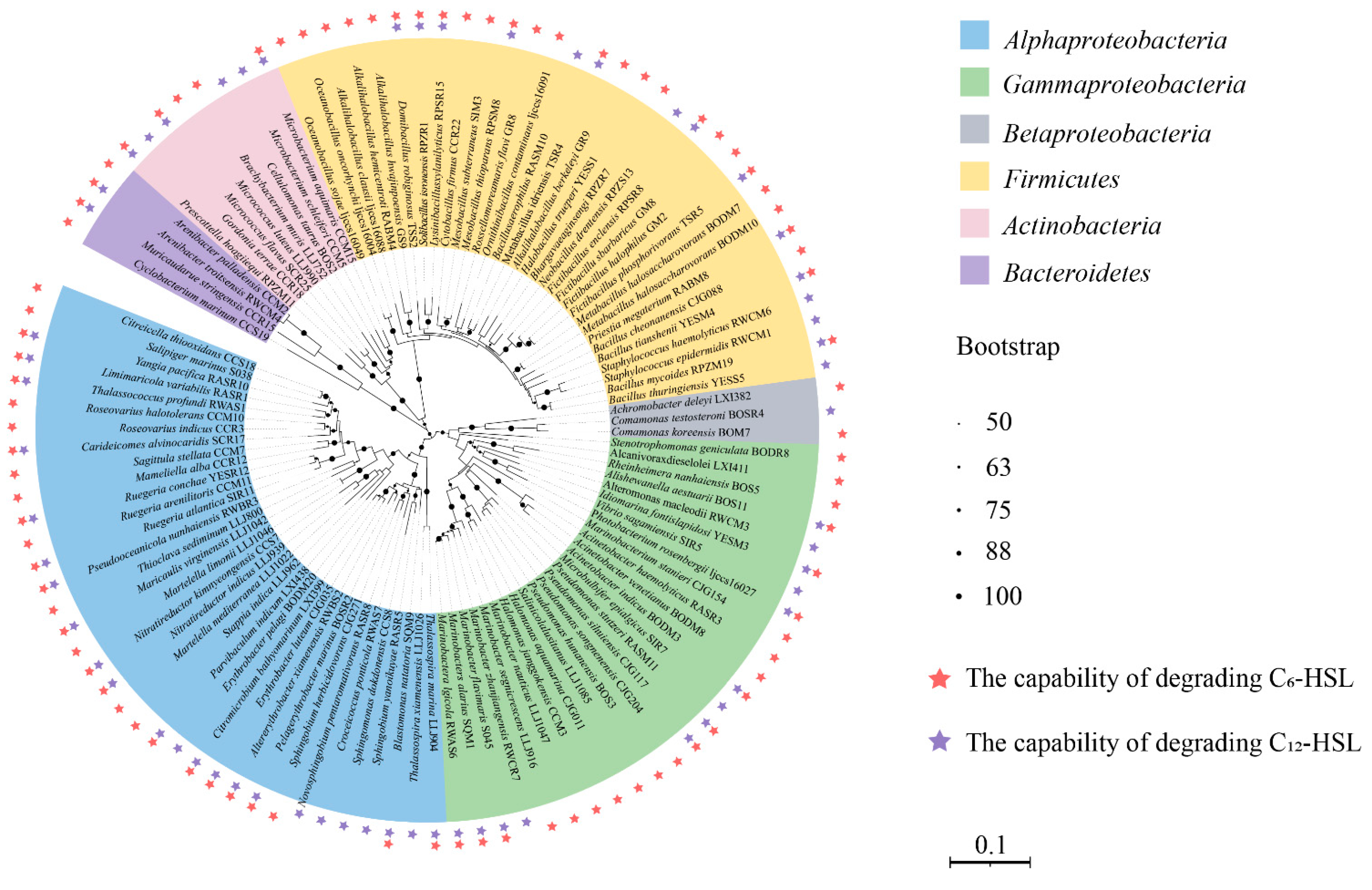 Microorganisms 11 00748 g003