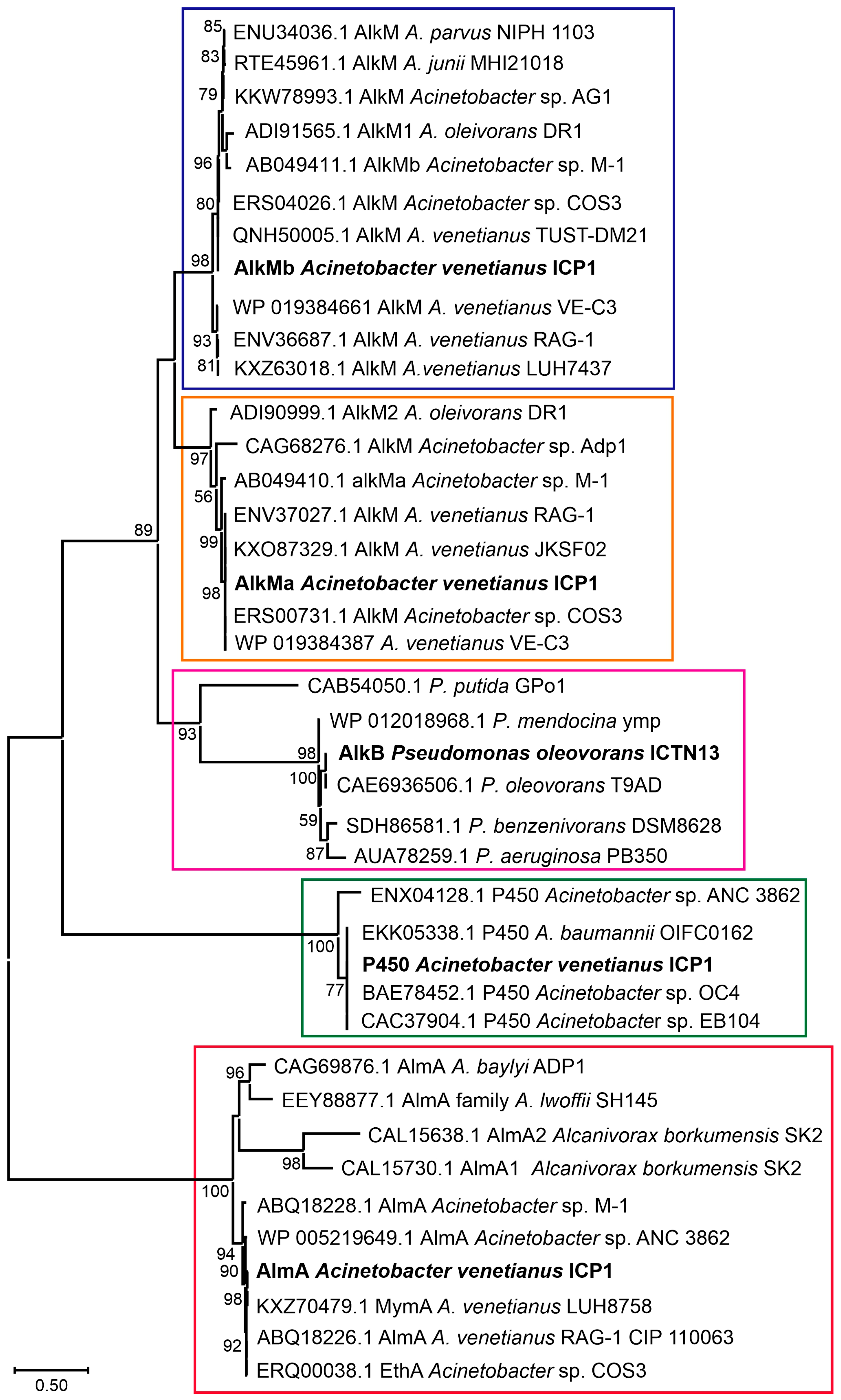 Microorganisms 11 00752 g005