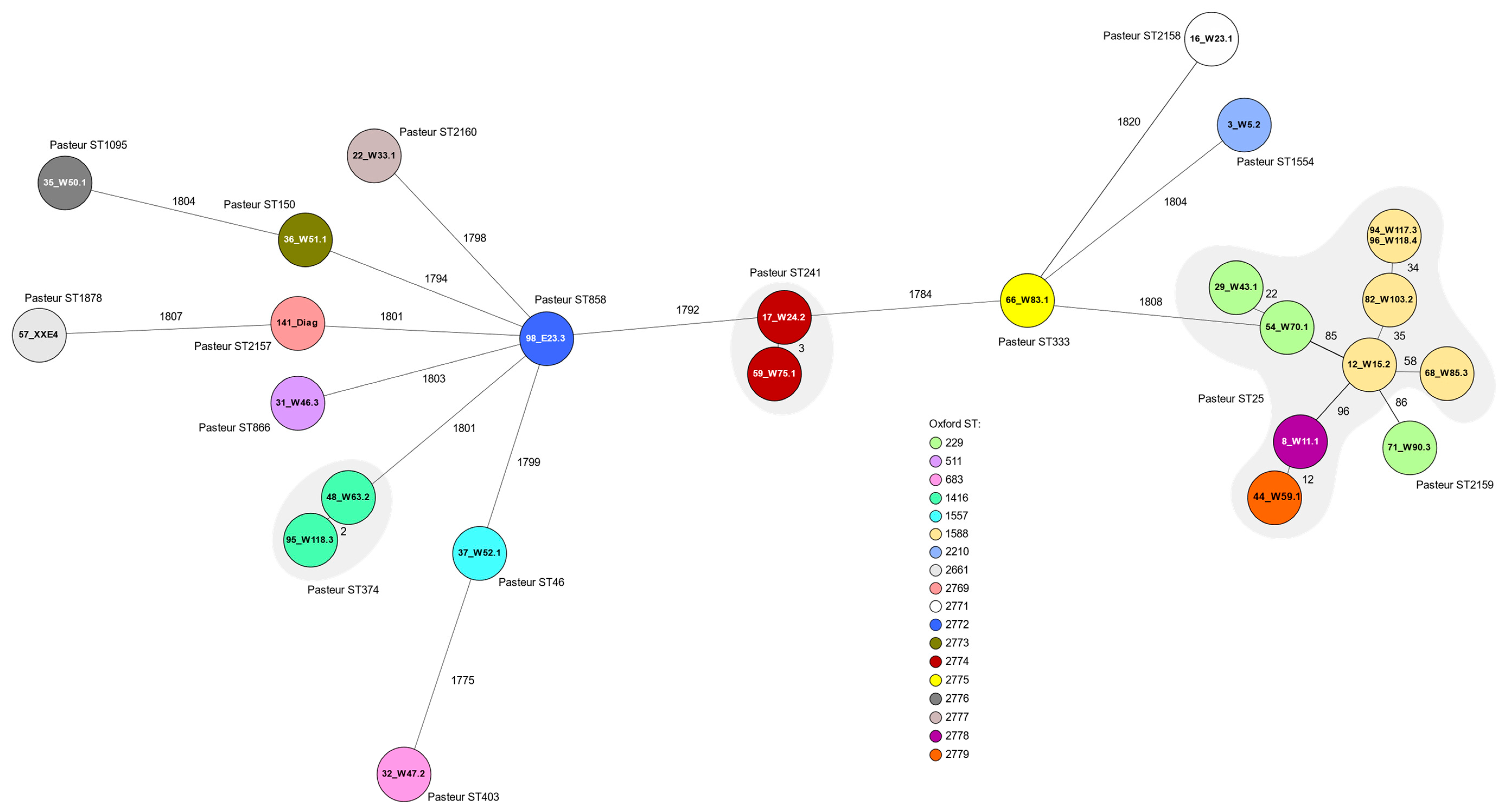 Microorganisms 11 00759 g002