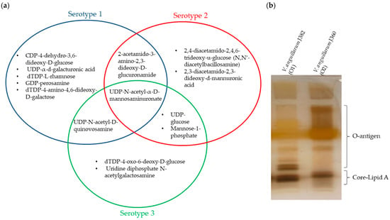 Microorganisms | Free Full-Text | Comparative Genomic Analysis Of ...