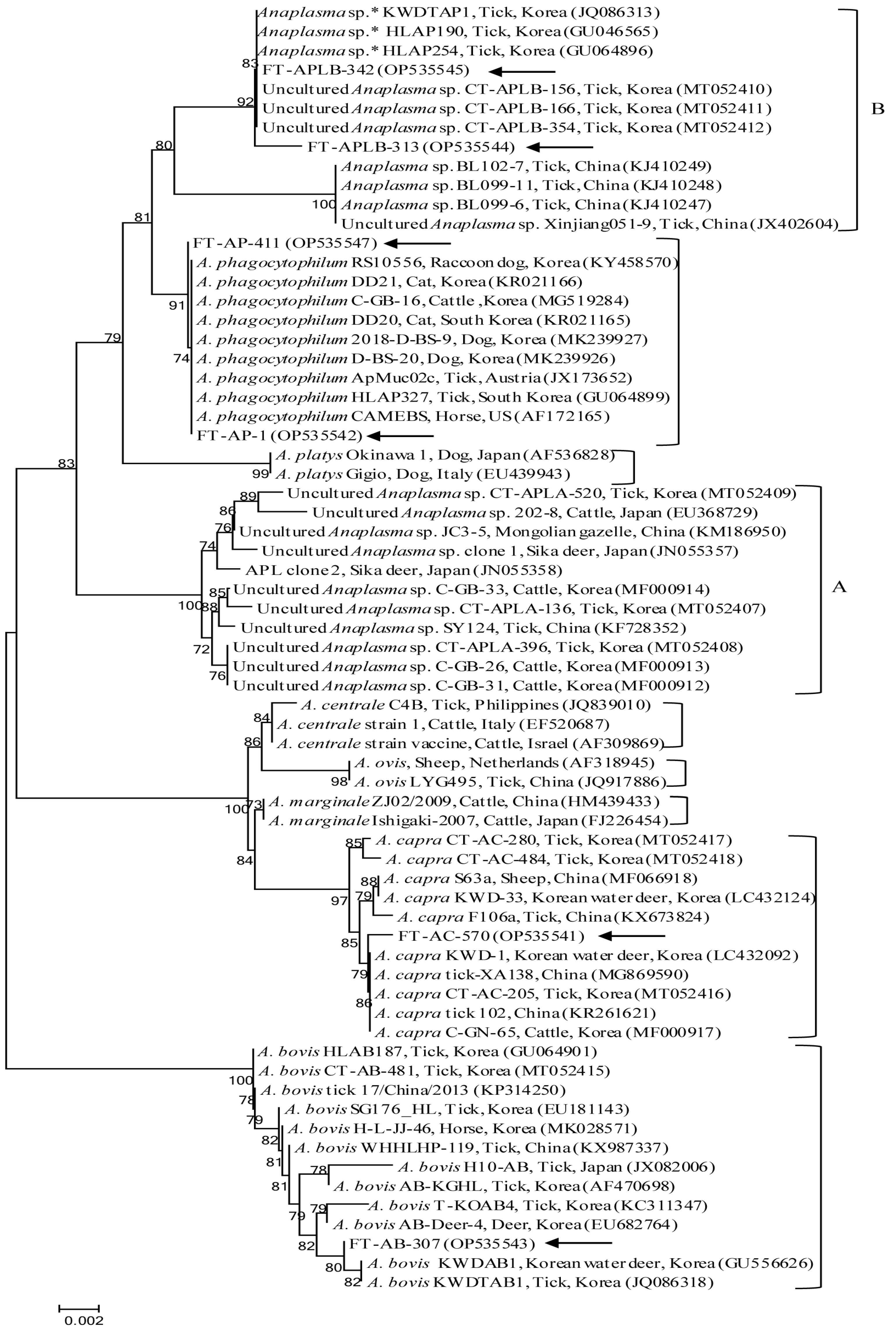 Microorganisms | Free Full-Text | Tick Populations and Molecular ...