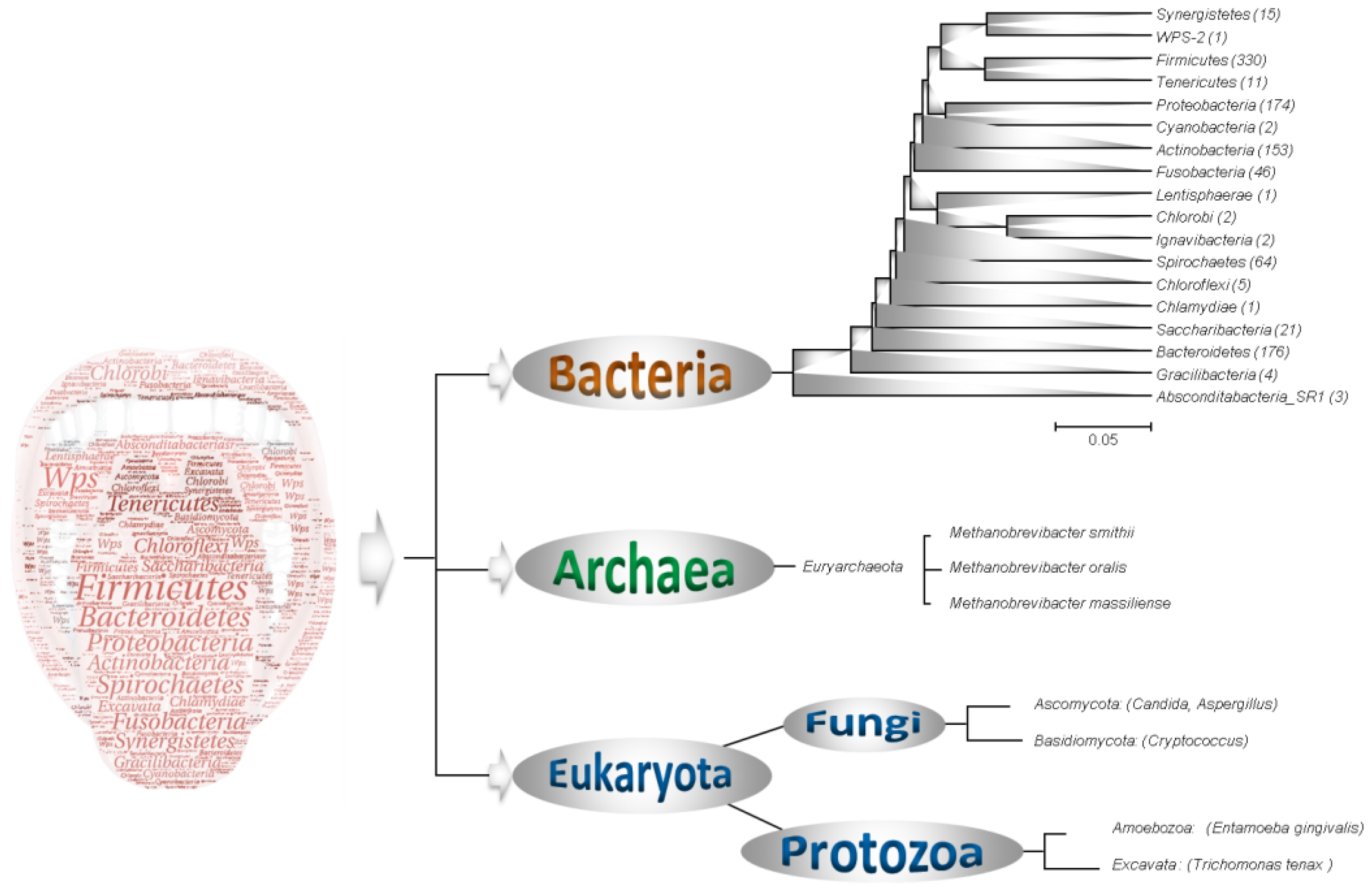 Microorganisms 11 00836 g001 Microorganisms 11 00836 g001