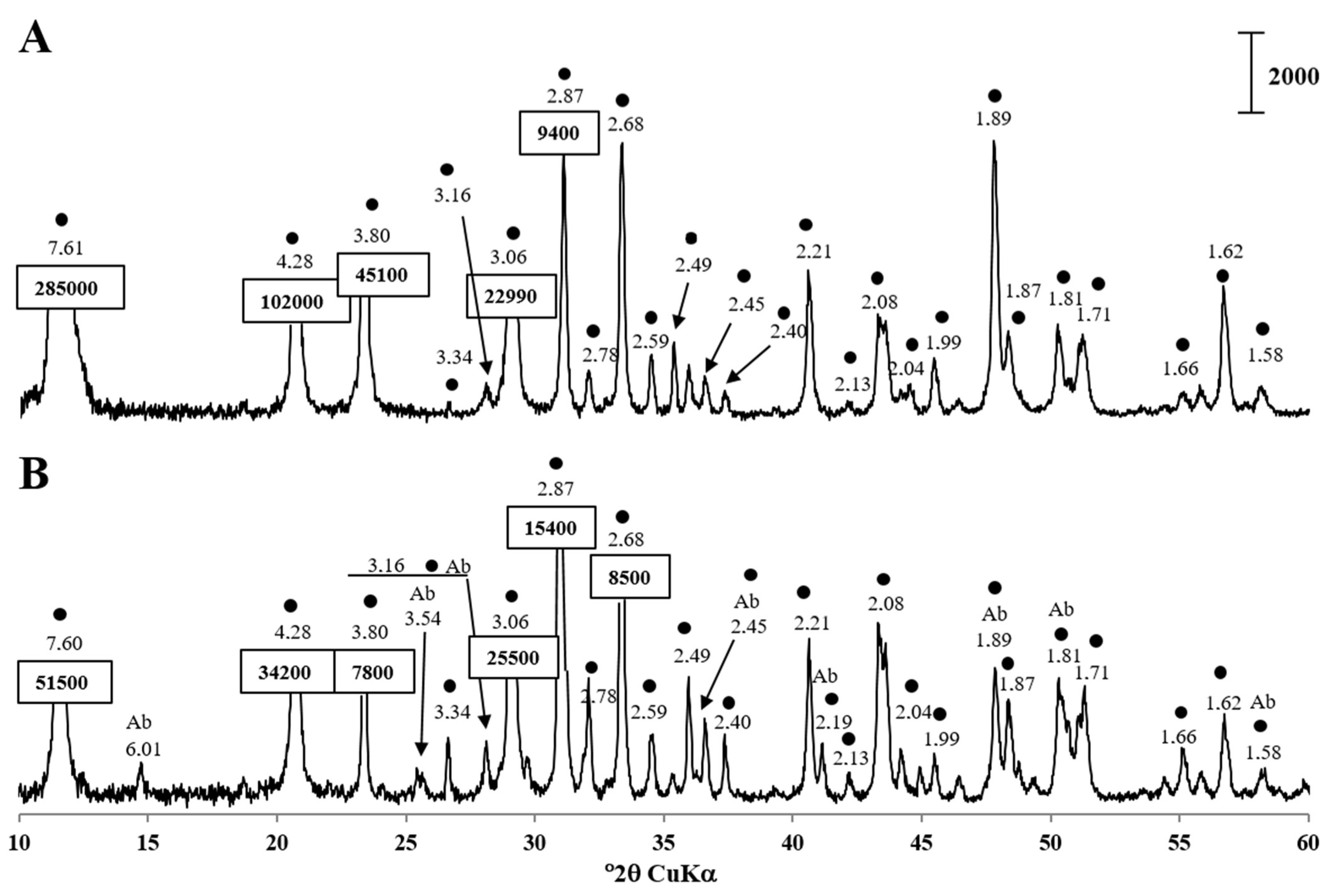 A collection of bacterial isolates from the pig intestine reveals