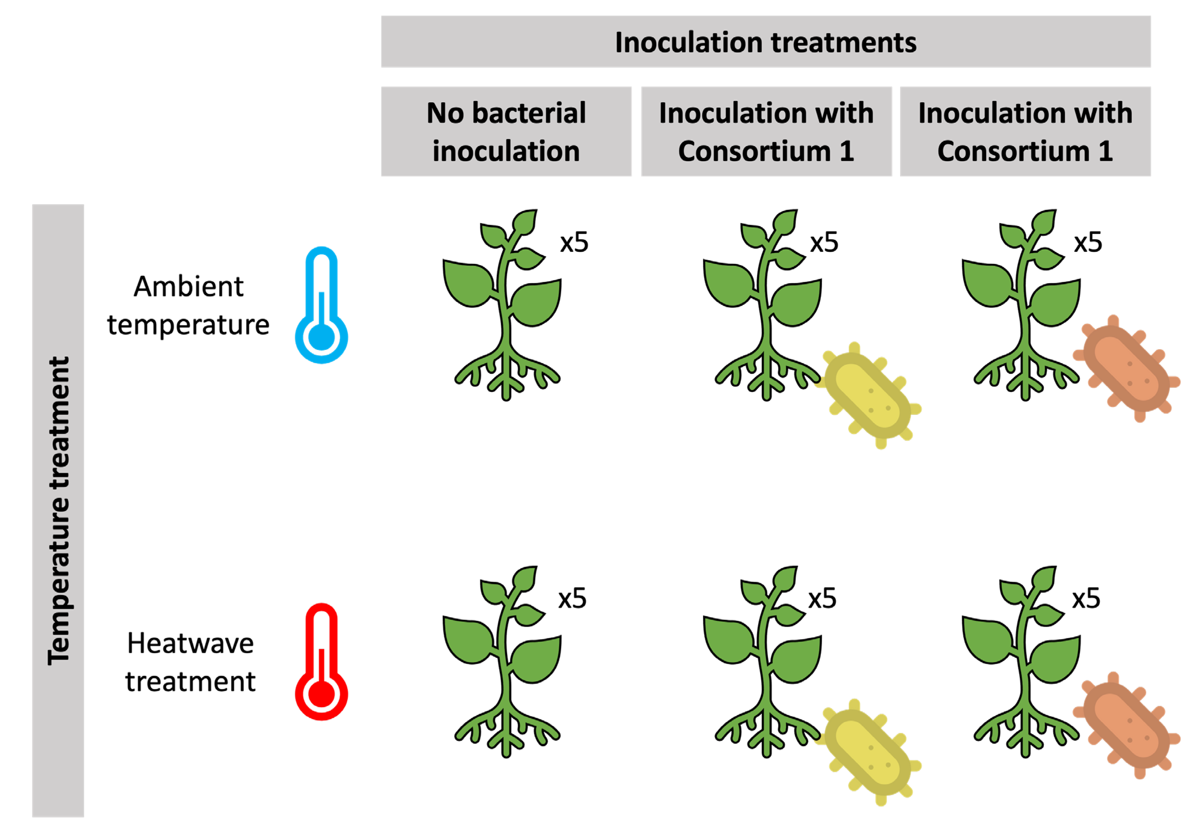 Microorganisms | Free Full-Text | Improving Grapevine Heat Stress ...