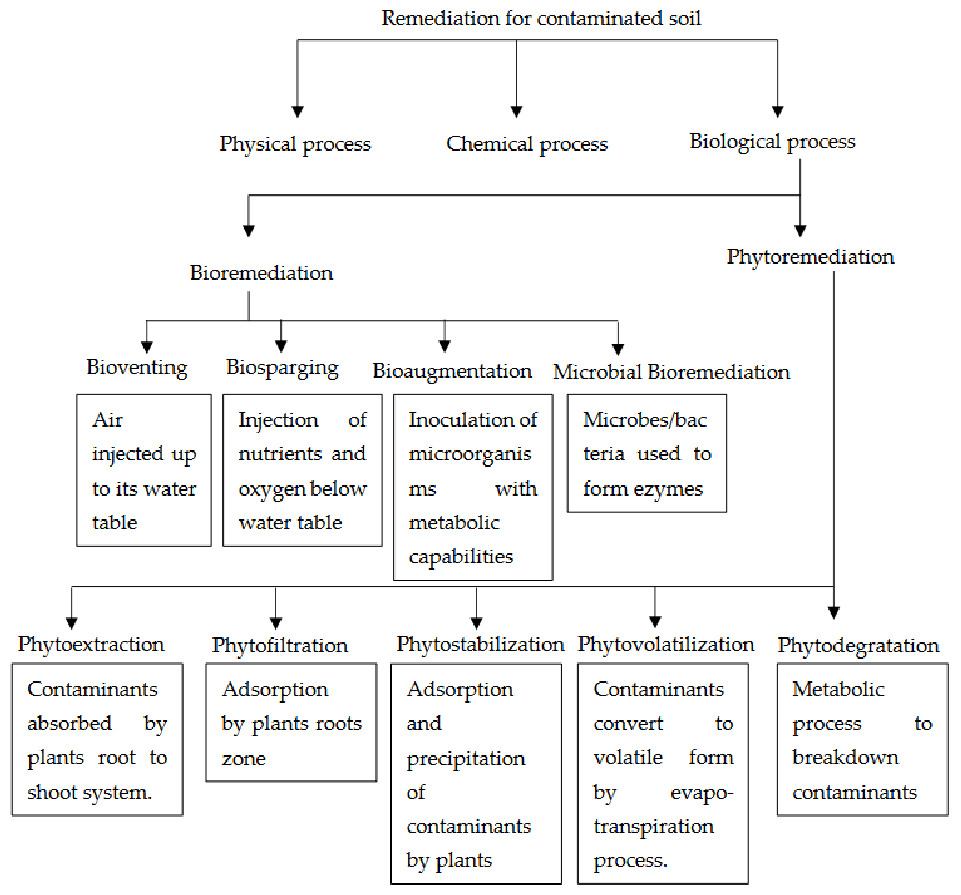 bioremediation examples