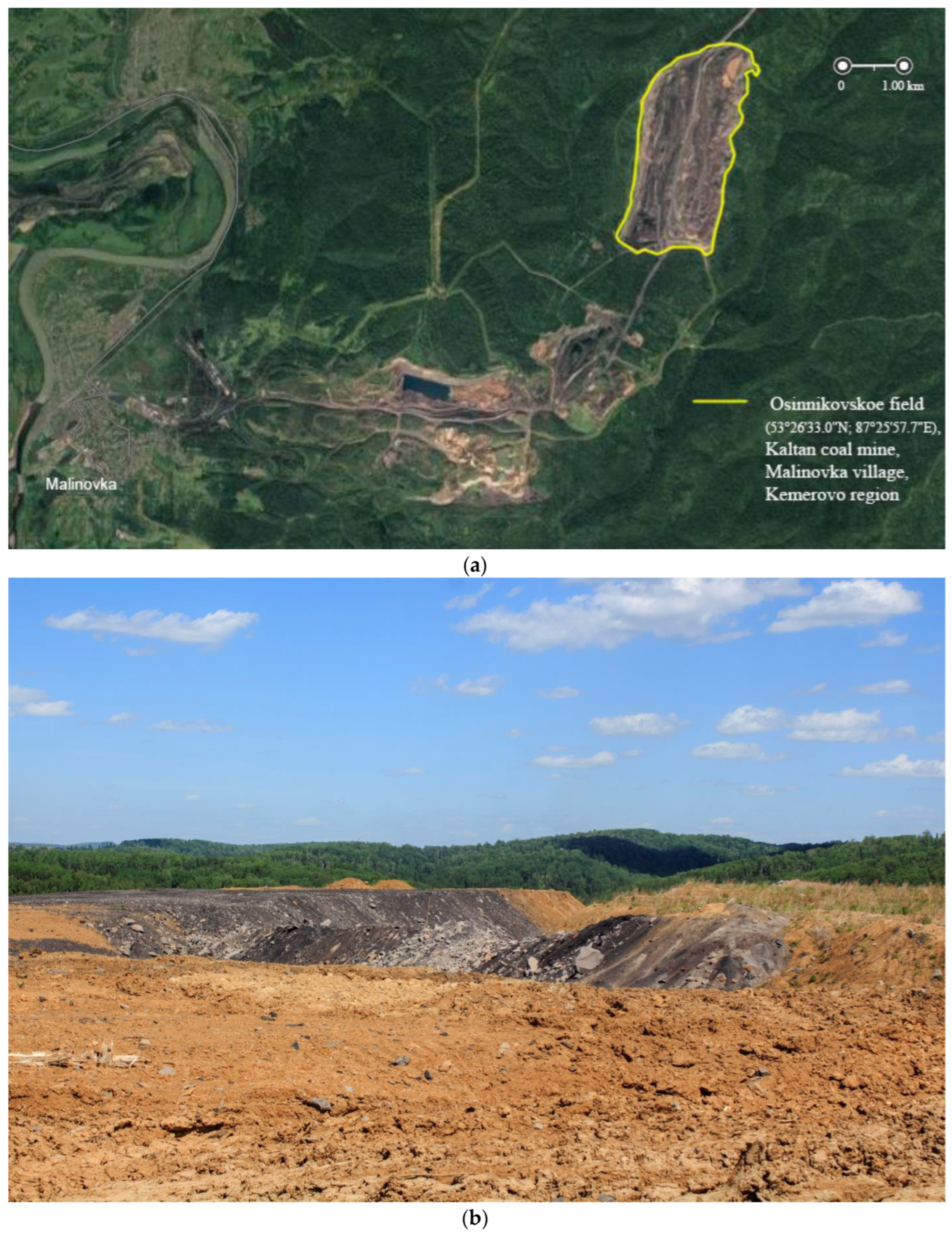 Microorganisms 11 00864 g001