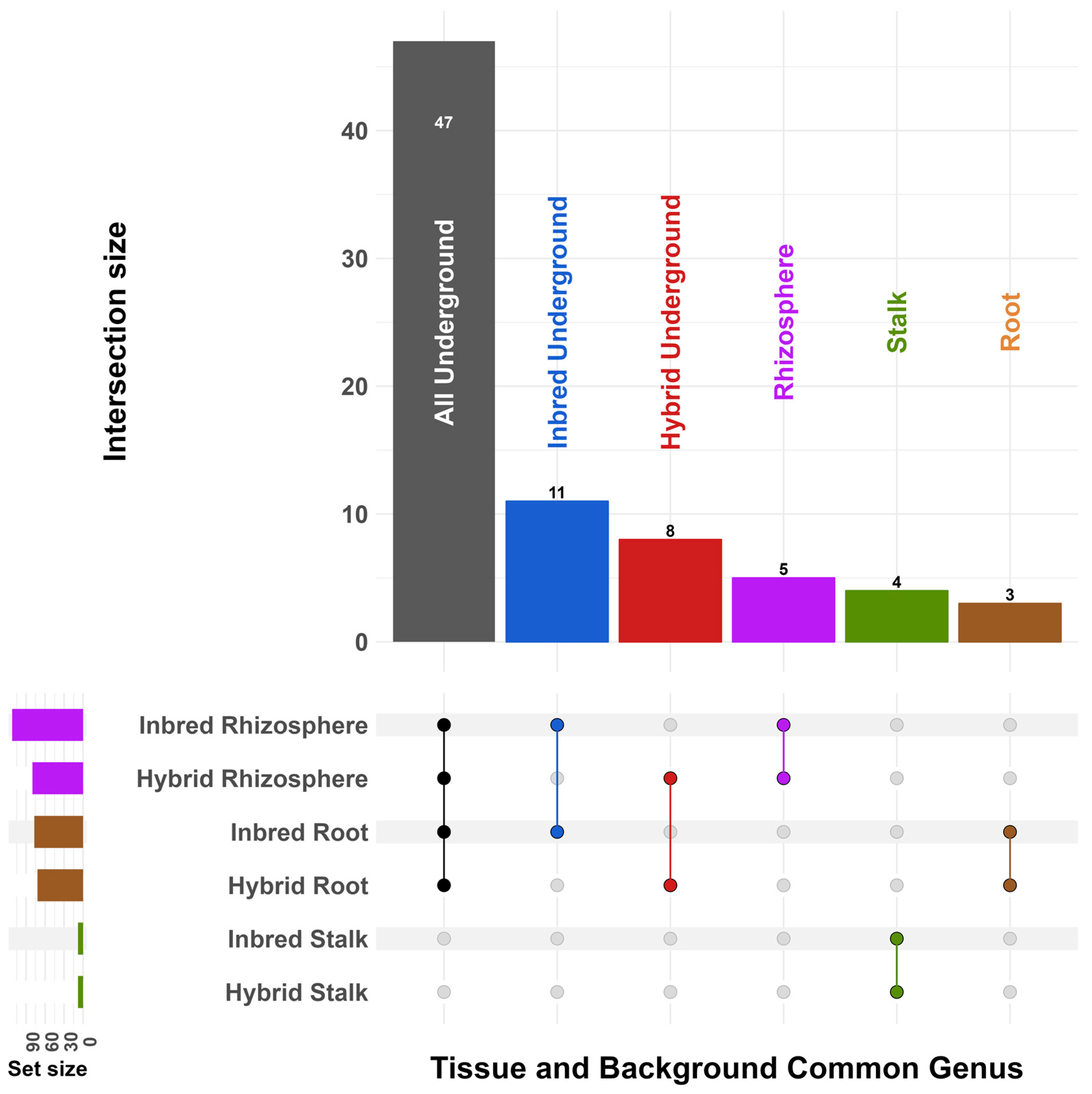 Microorganisms 11 00879 g002