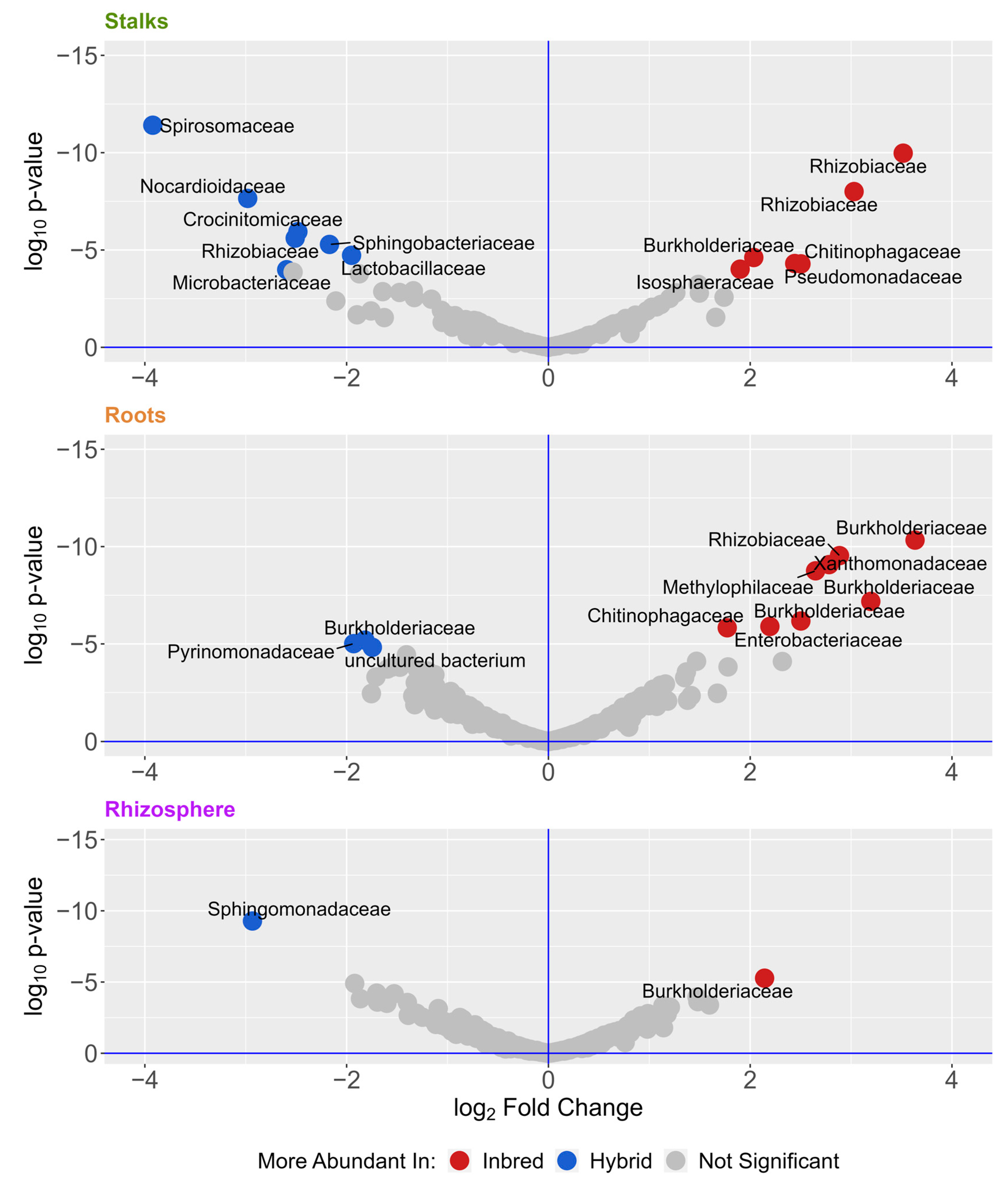 Microorganisms 11 00879 g004