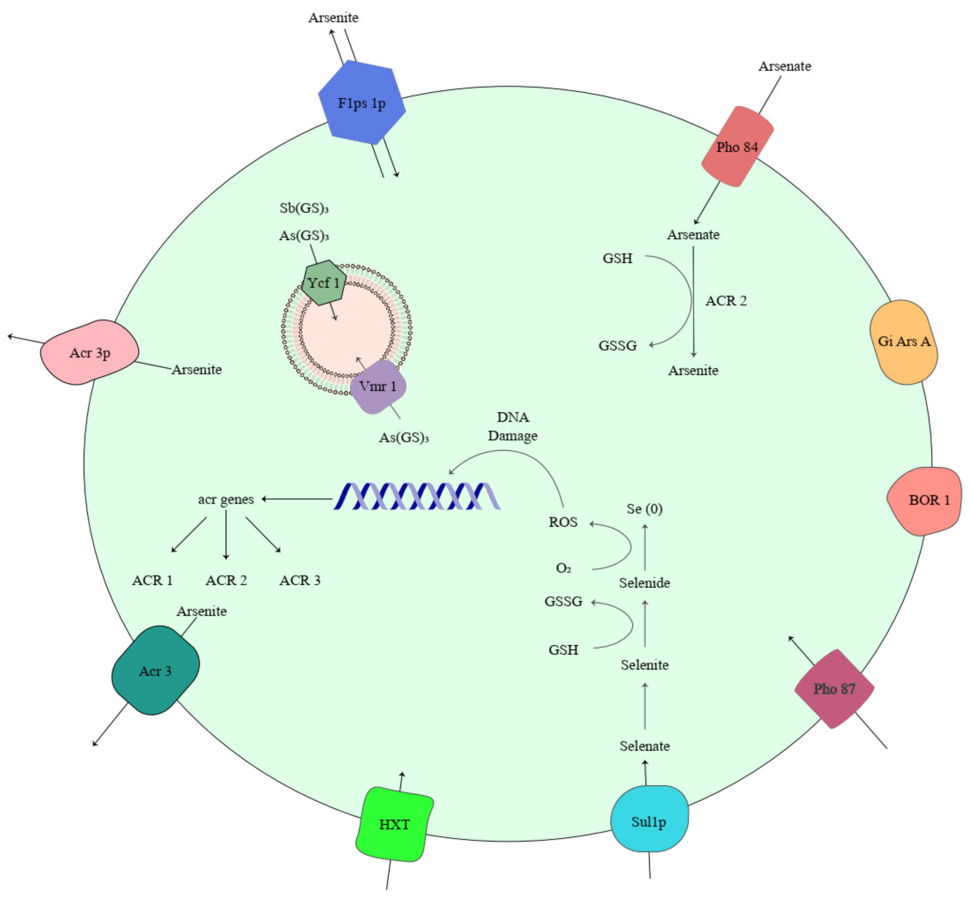 Microorganisms 11 00891 g003