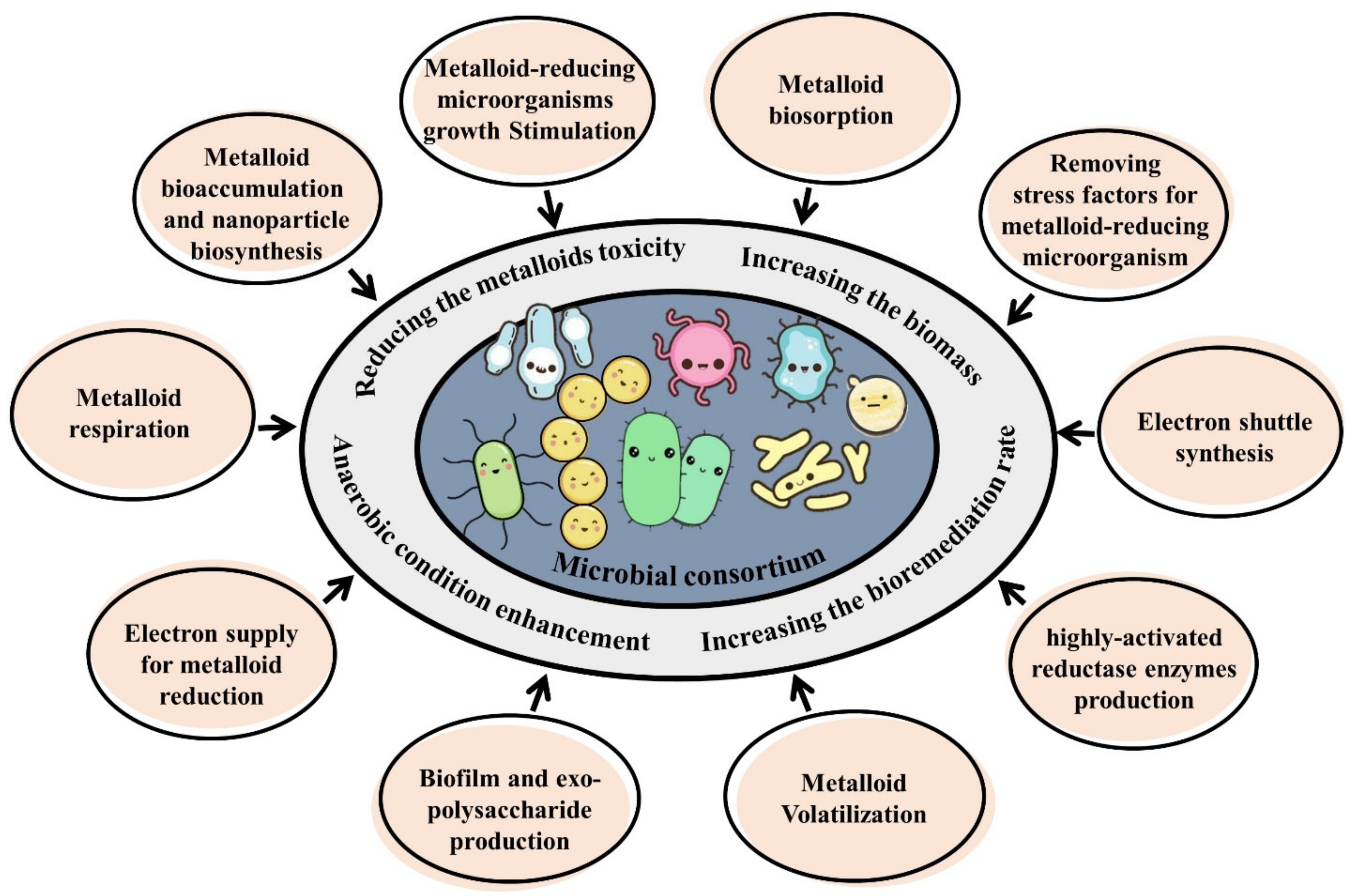 Microorganisms 11 00891 g004
