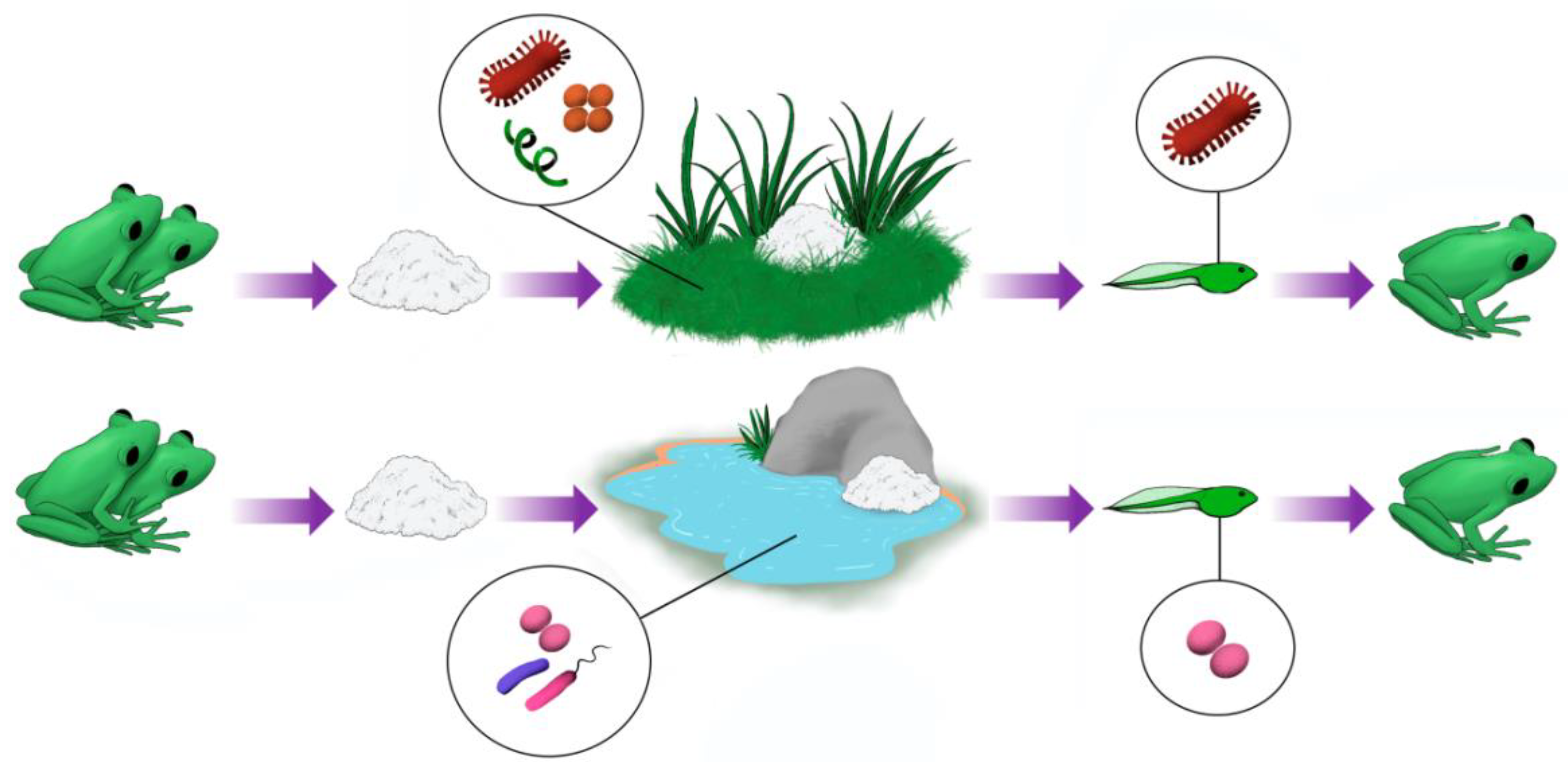 Microorganisms 11 00900 g008 Microorganisms 11 00900 g008