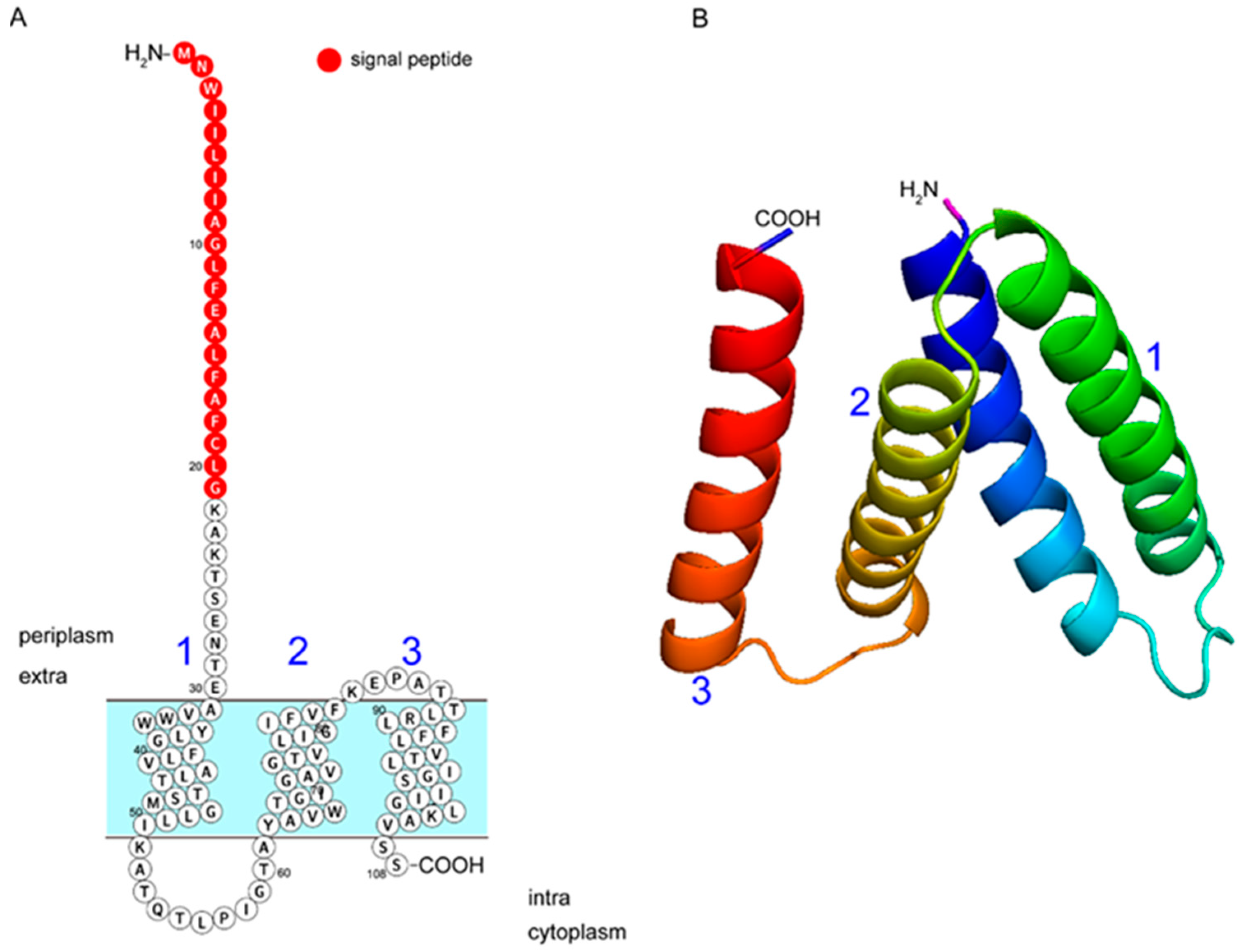 Microorganisms 11 00907 g001 Microorganisms 11 00907 g001