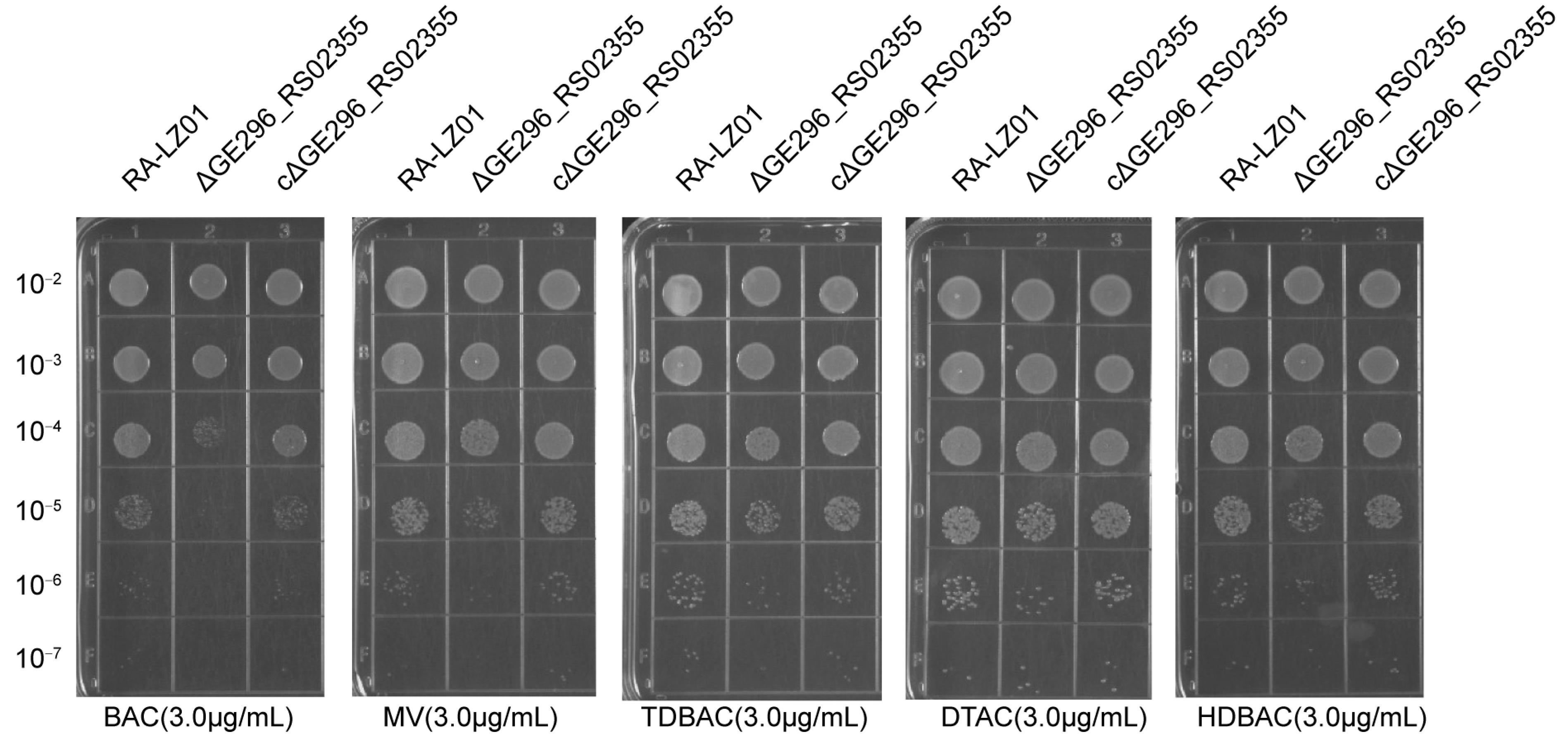 Microorganisms 11 00907 g002 Microorganisms 11 00907 g002