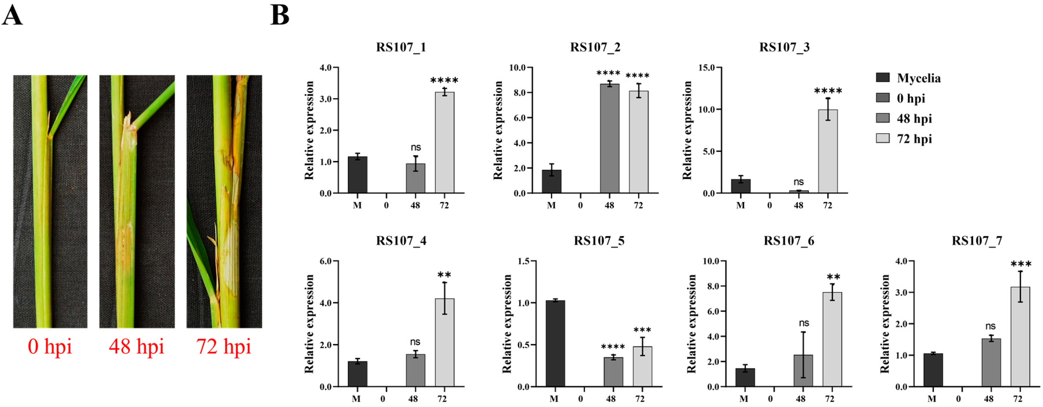 Microorganisms 11 00920 g006 Microorganisms 11 00920 g006