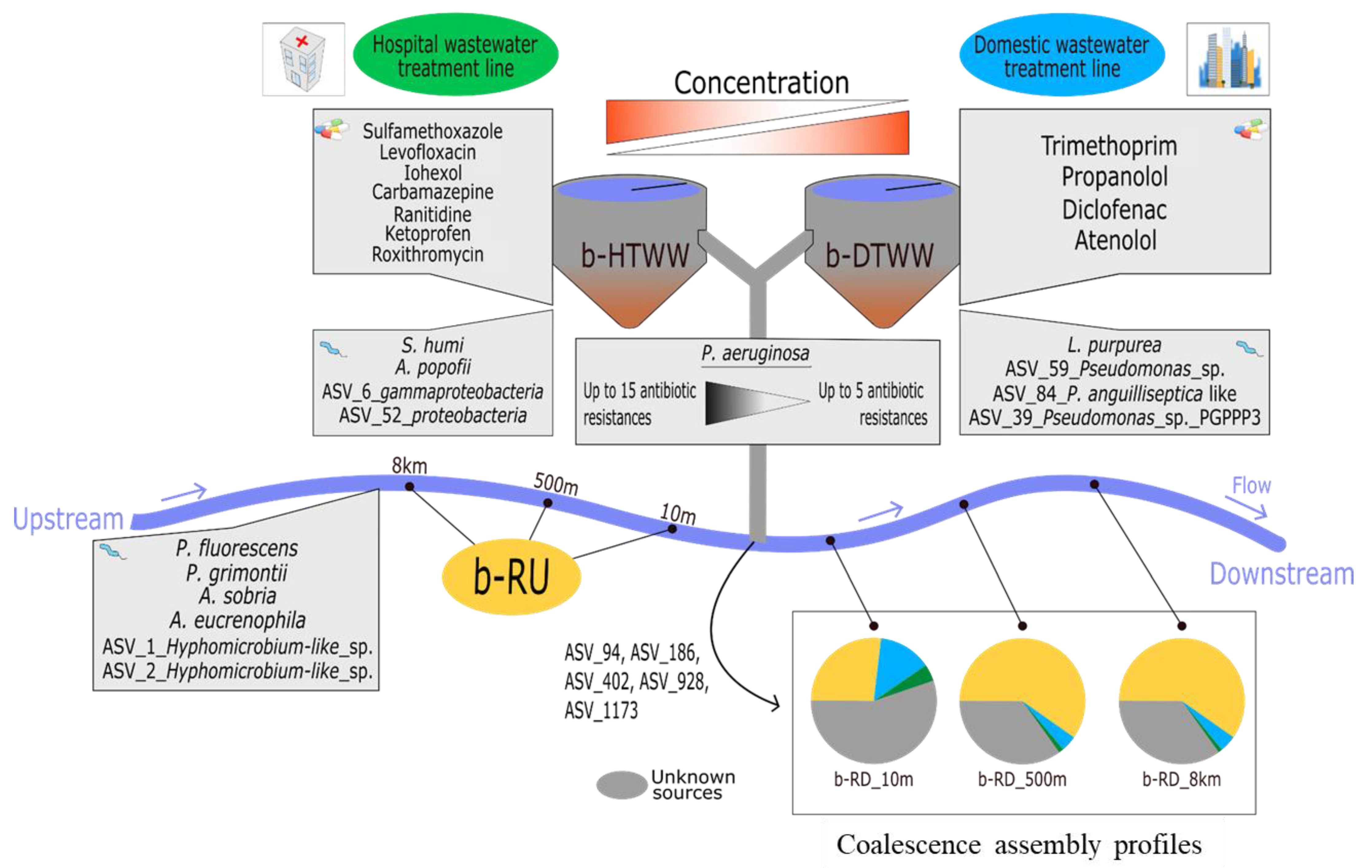 Microorganisms 11 00922 g004
