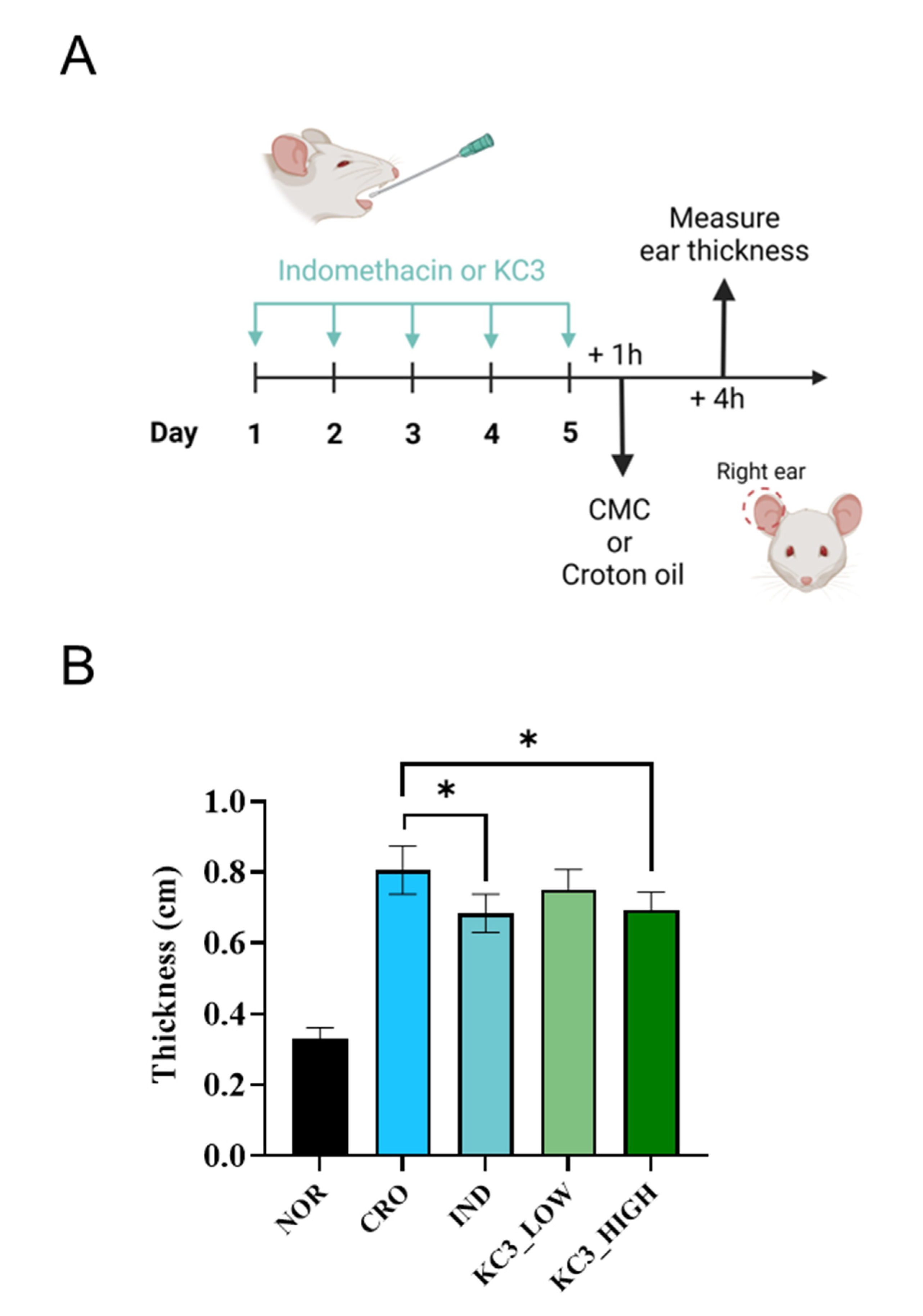 Microorganisms 11 00967 g002 Microorganisms 11 00967 g002