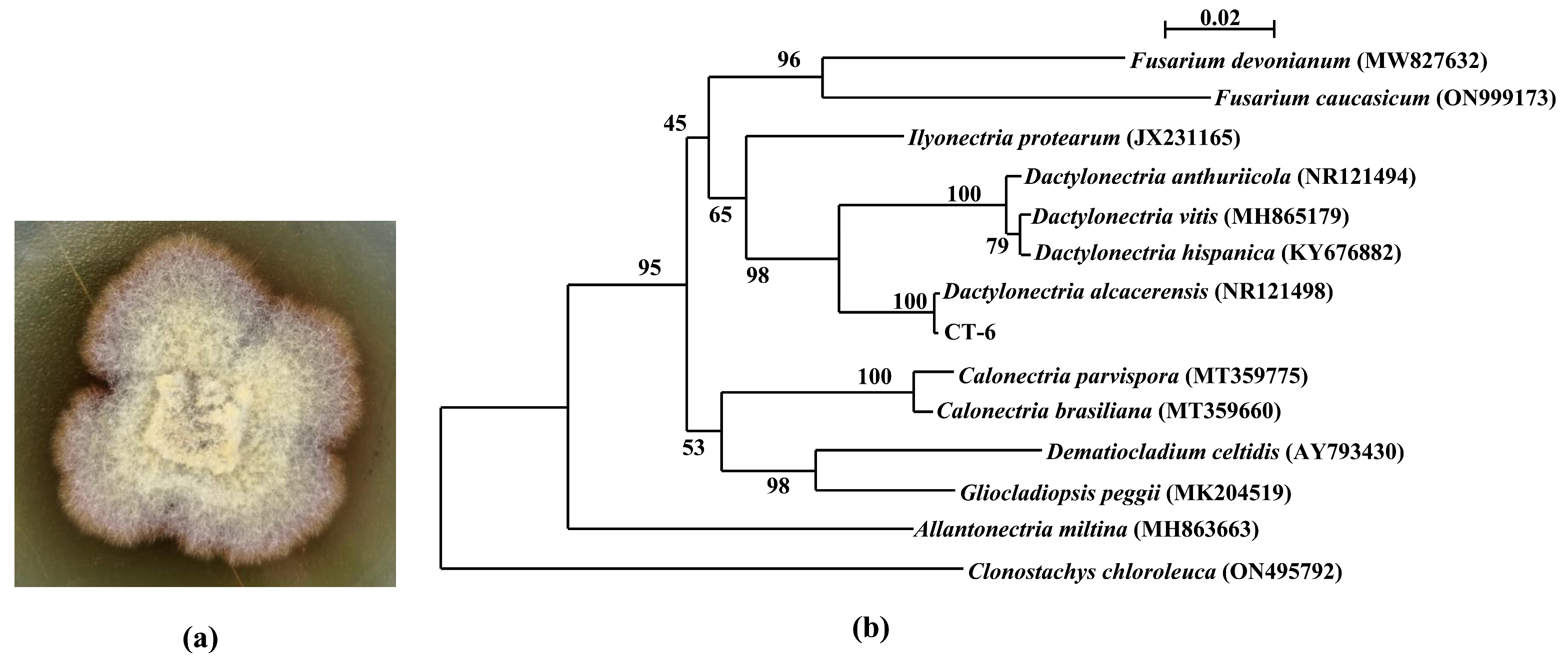 Microorganisms | Free Full-Text | Genome Mining and Screening for ...