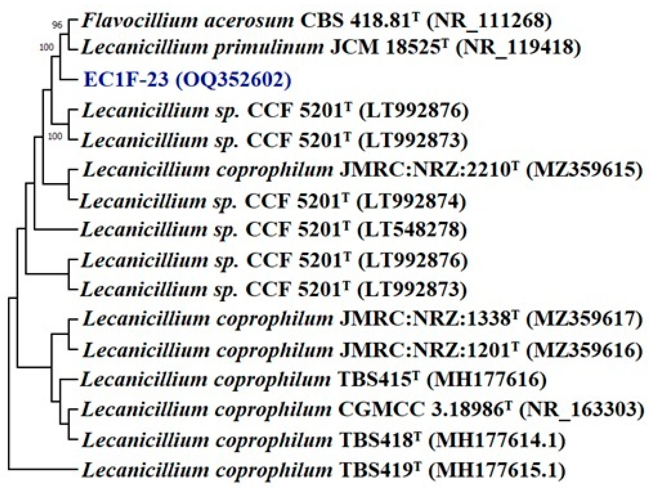 Microorganisms 11 00973 g002