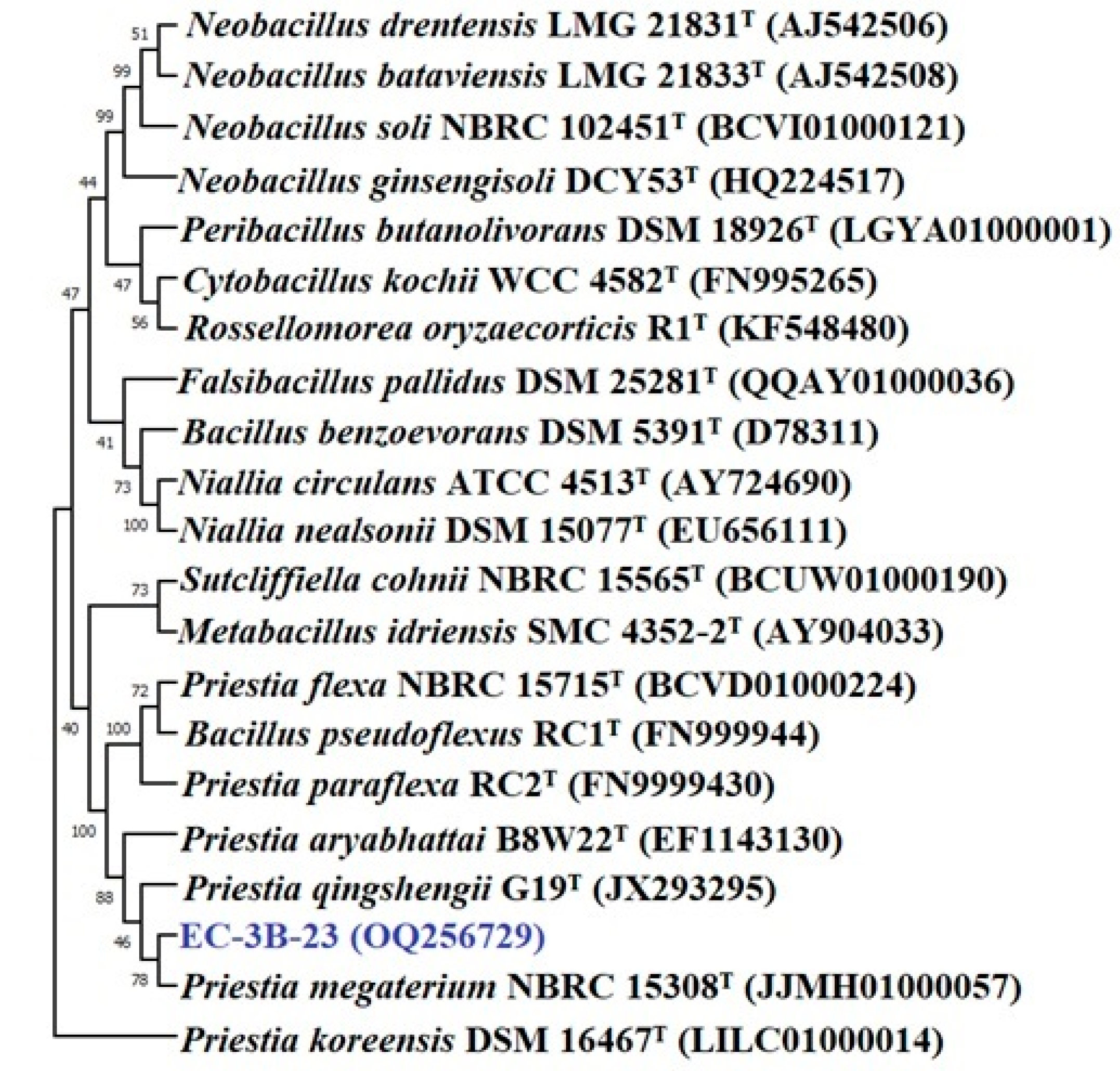 Microorganisms 11 00973 g004