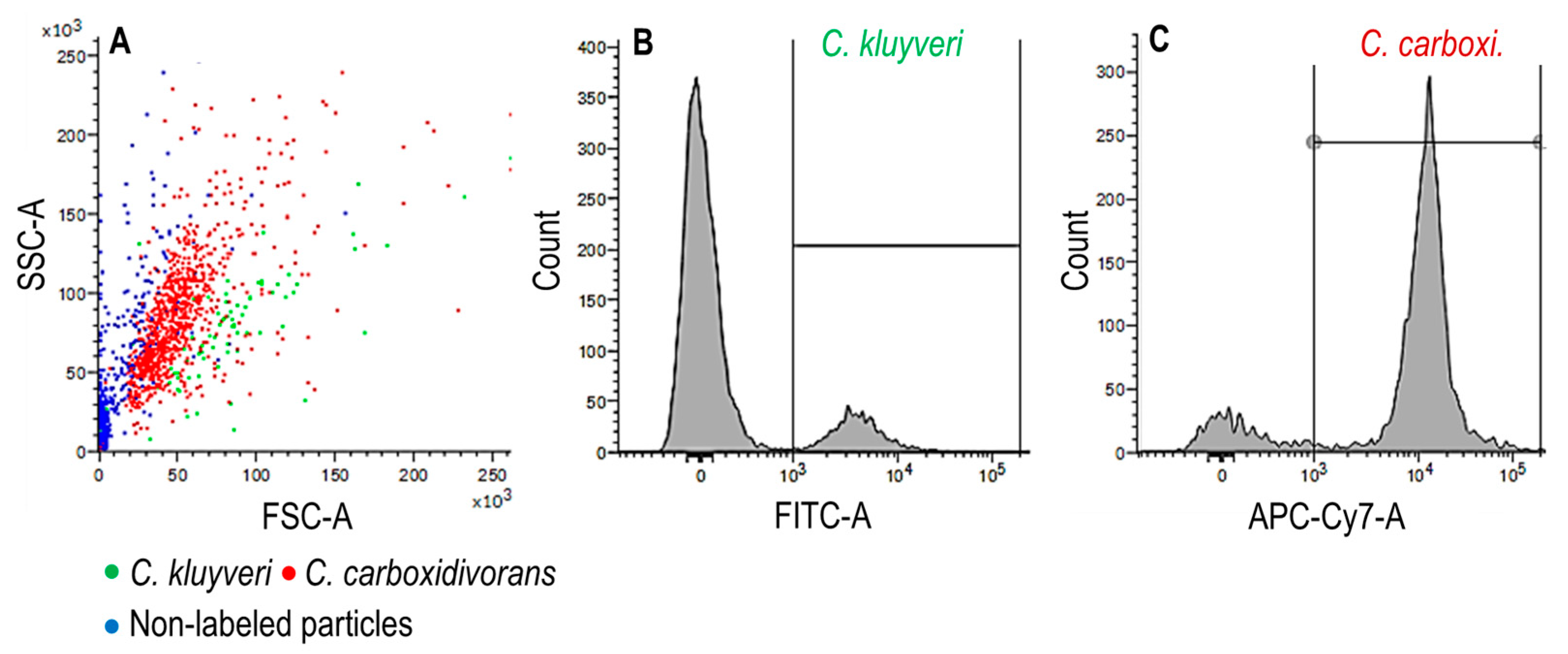 Microorganisms 11 01003 g008 Microorganisms 11 01003 g008