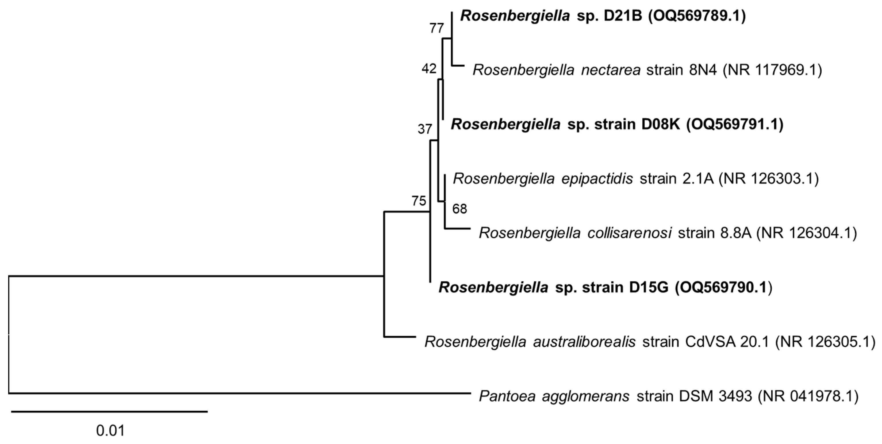 Microorganisms 11 01005 g001 Microorganisms 11 01005 g001