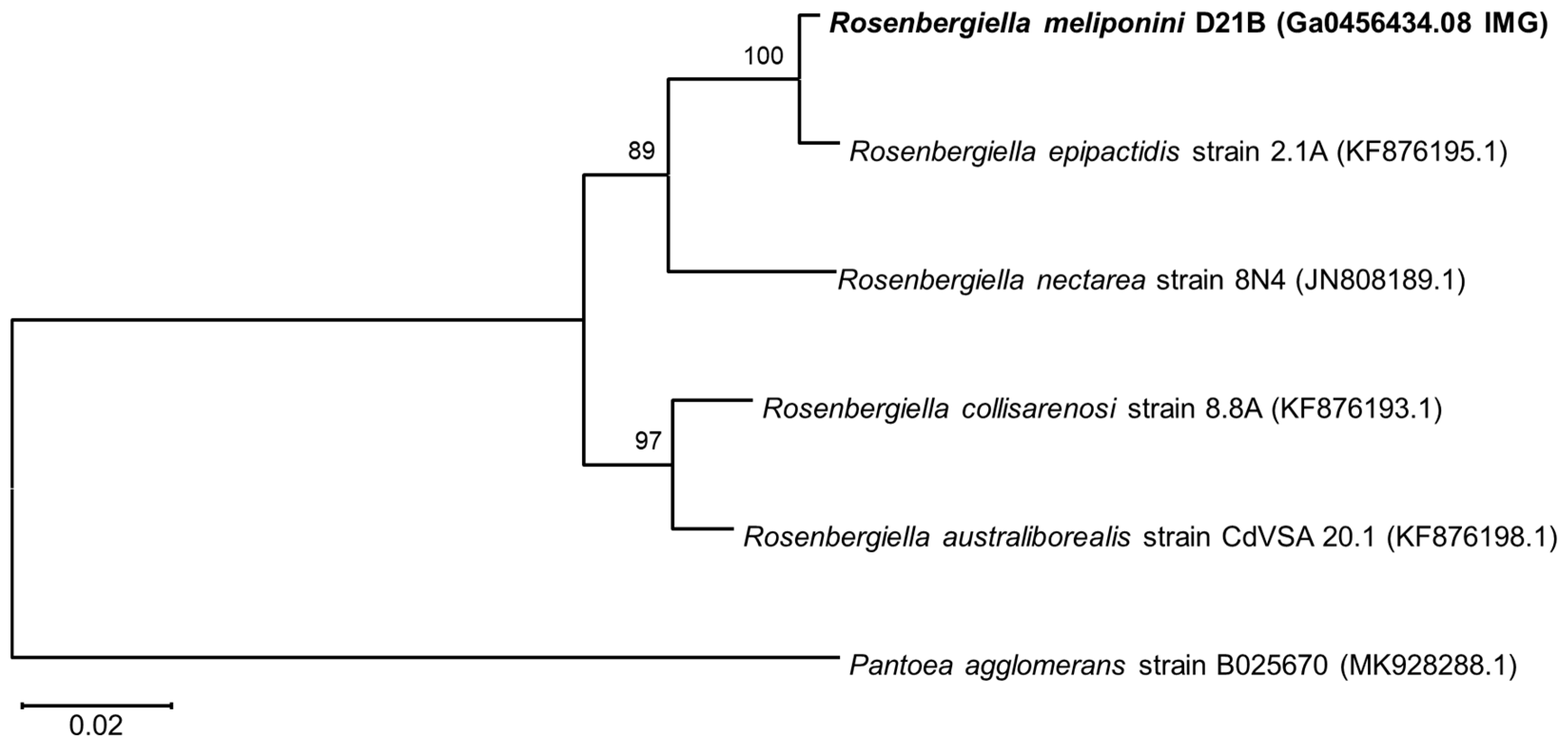 Microorganisms 11 01005 g003 Microorganisms 11 01005 g003