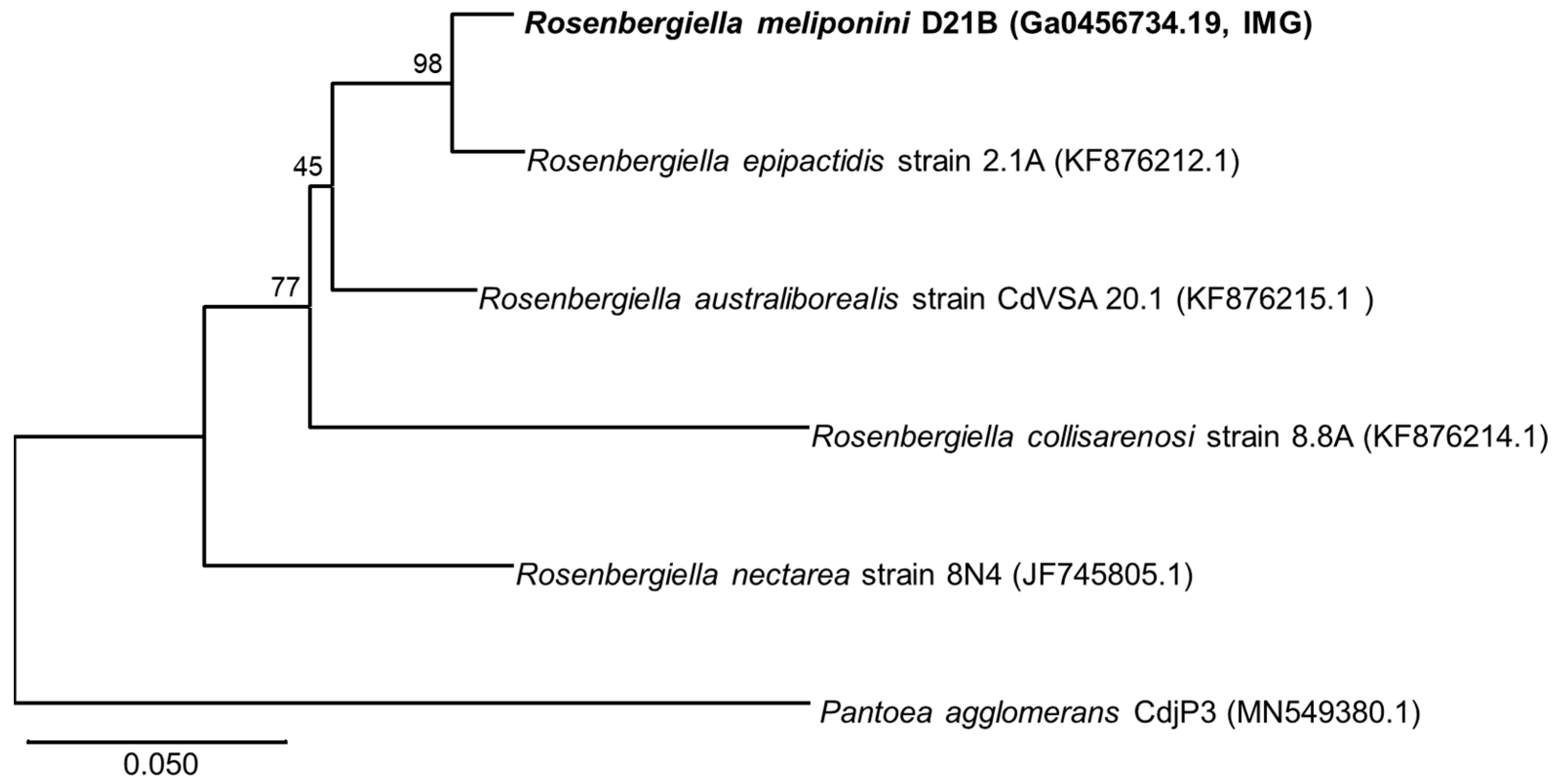 Microorganisms 11 01005 g004 Microorganisms 11 01005 g004