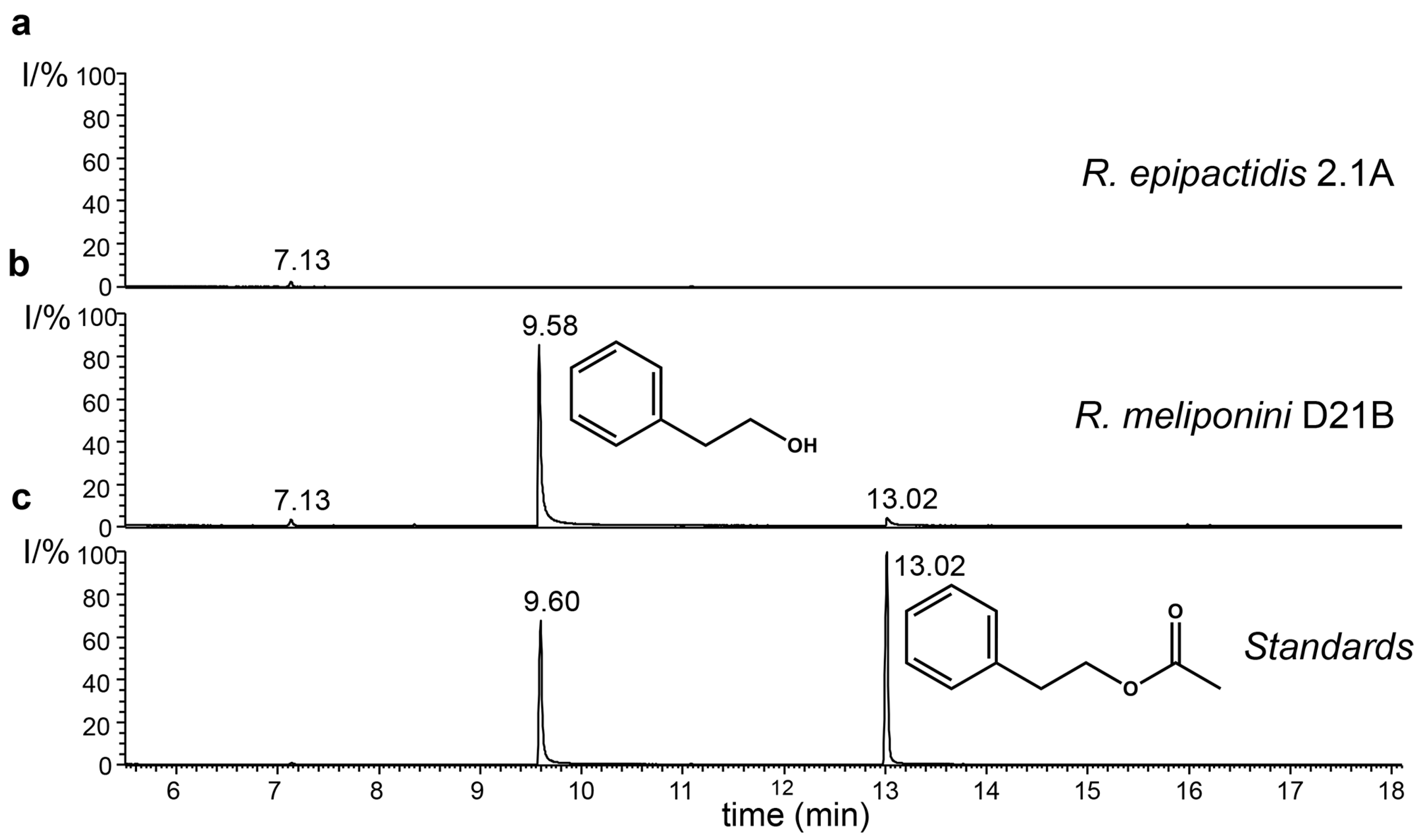 Microorganisms 11 01005 g007 Microorganisms 11 01005 g007