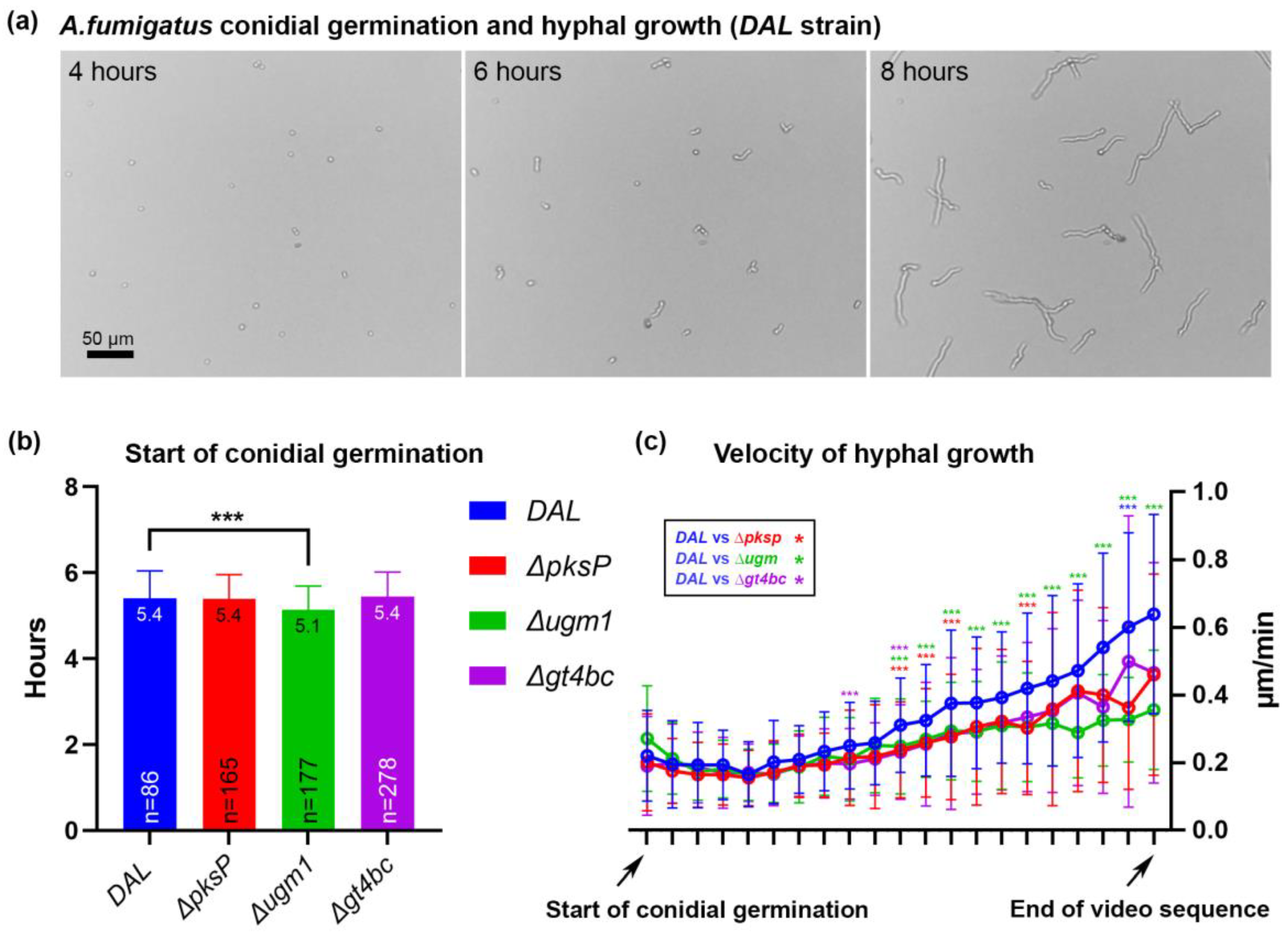 Microorganisms 11 01011 g001 Microorganisms 11 01011 g001