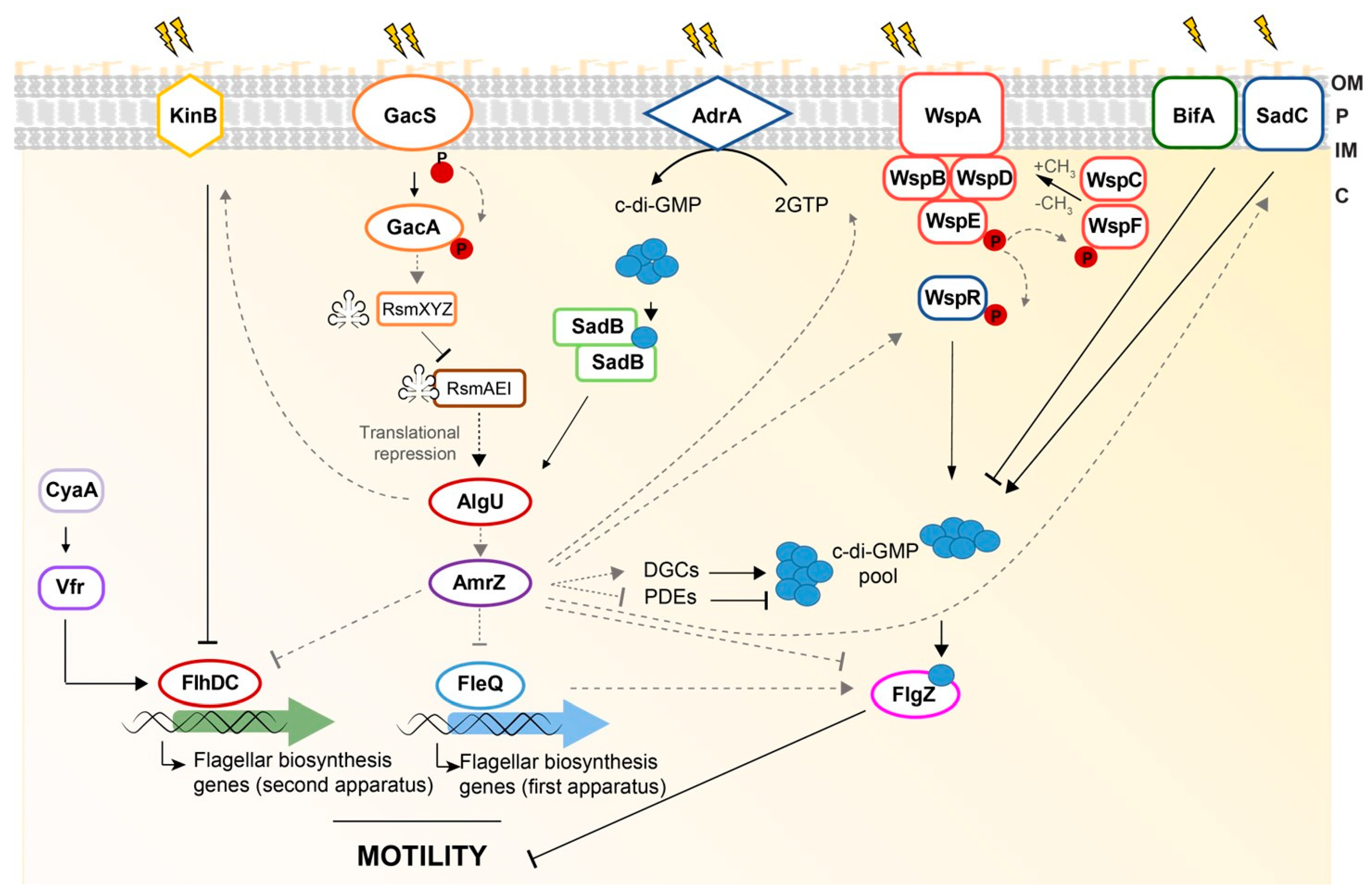 Microorganisms 11 01037 g003