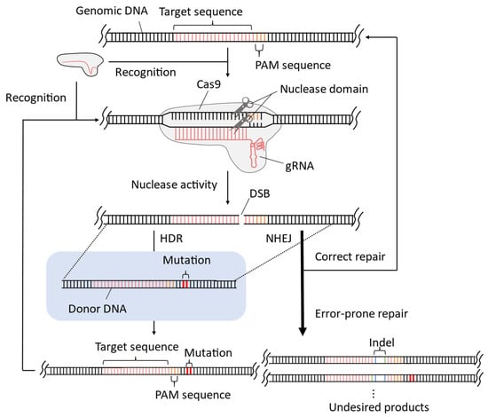 Microorganisms | Free Full-Text | Overcoming the Limitations of CRISPR ...