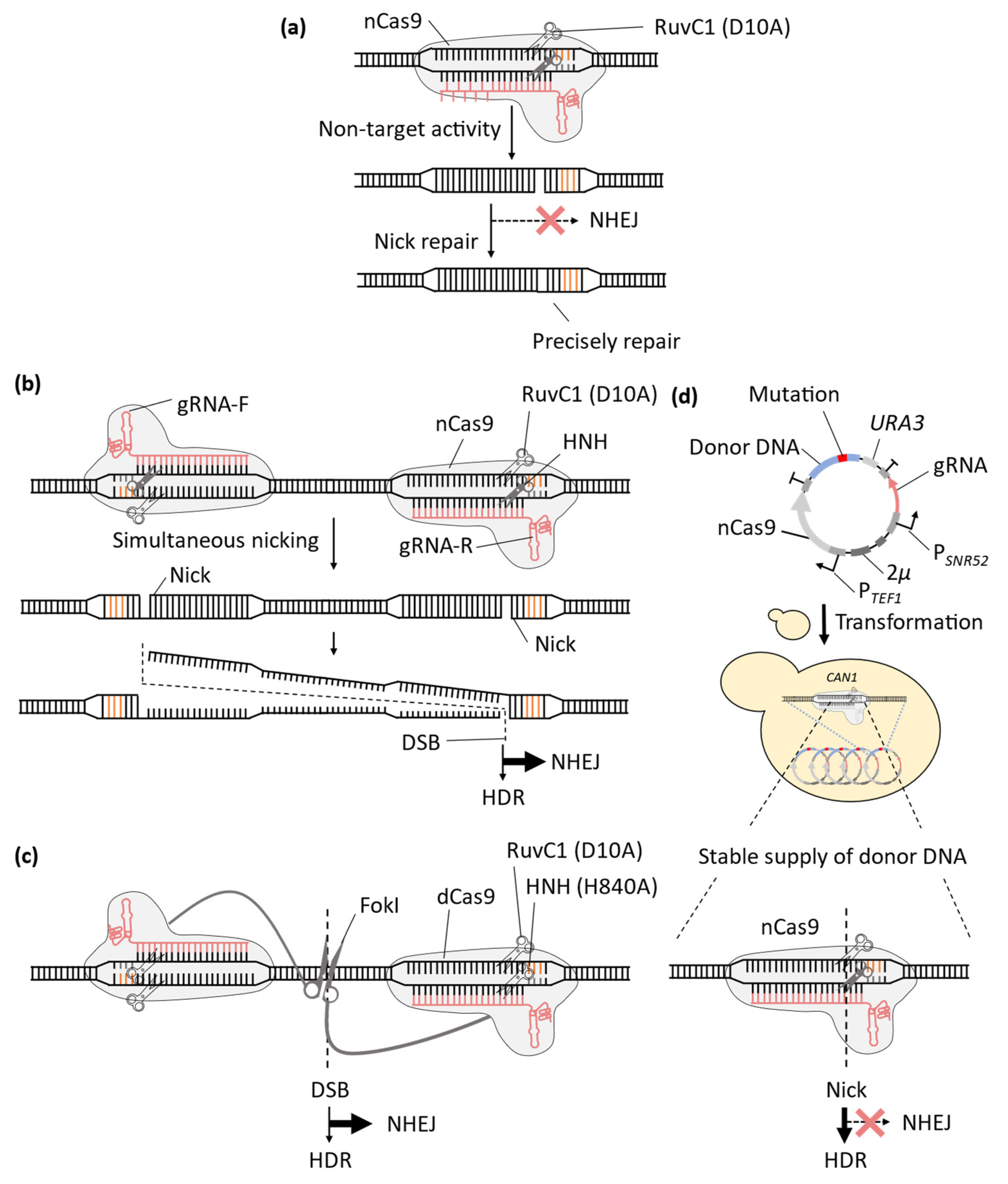 Microorganisms 11 01040 g003