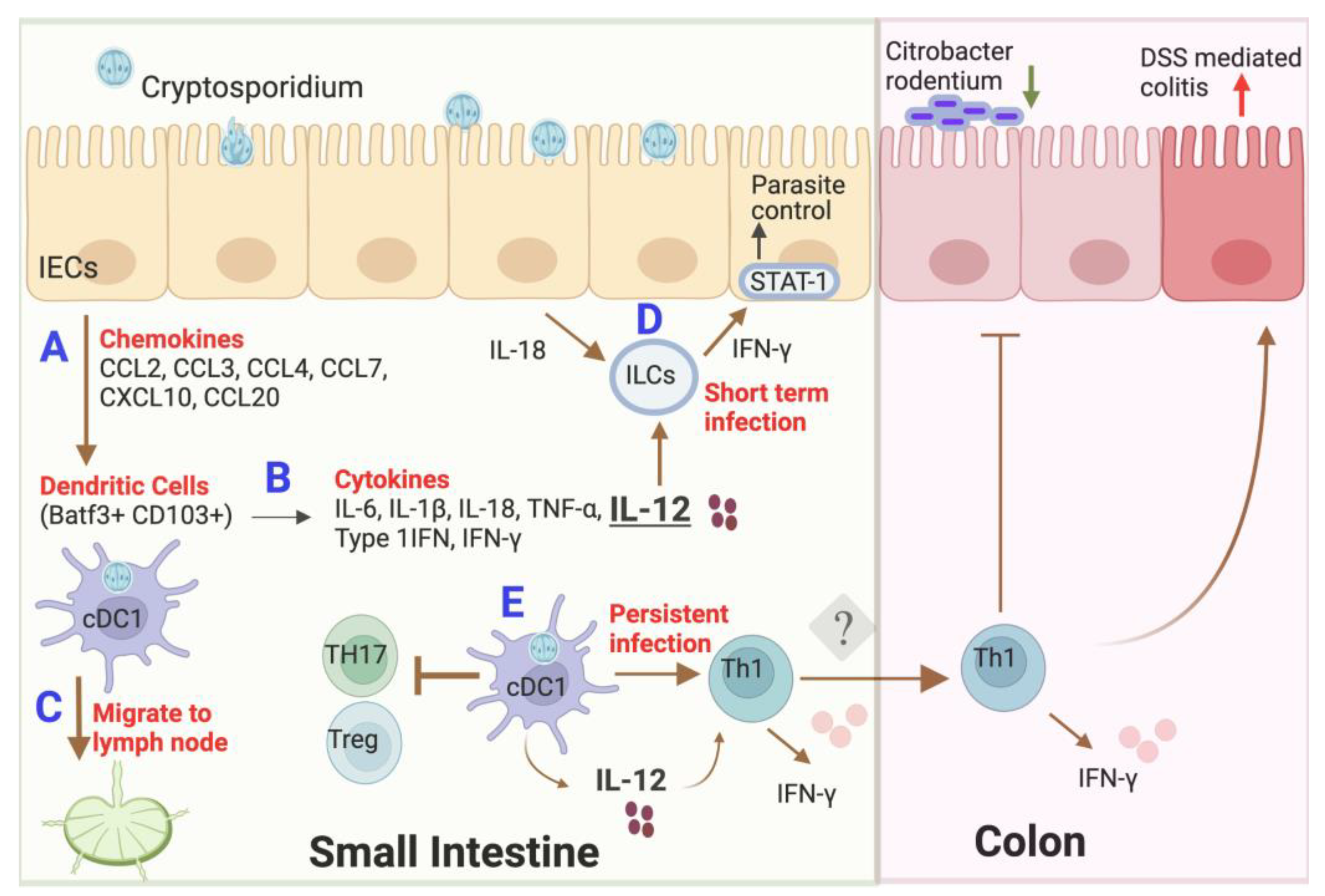 Microorganisms 11 01056 g001 Microorganisms 11 01056 g001