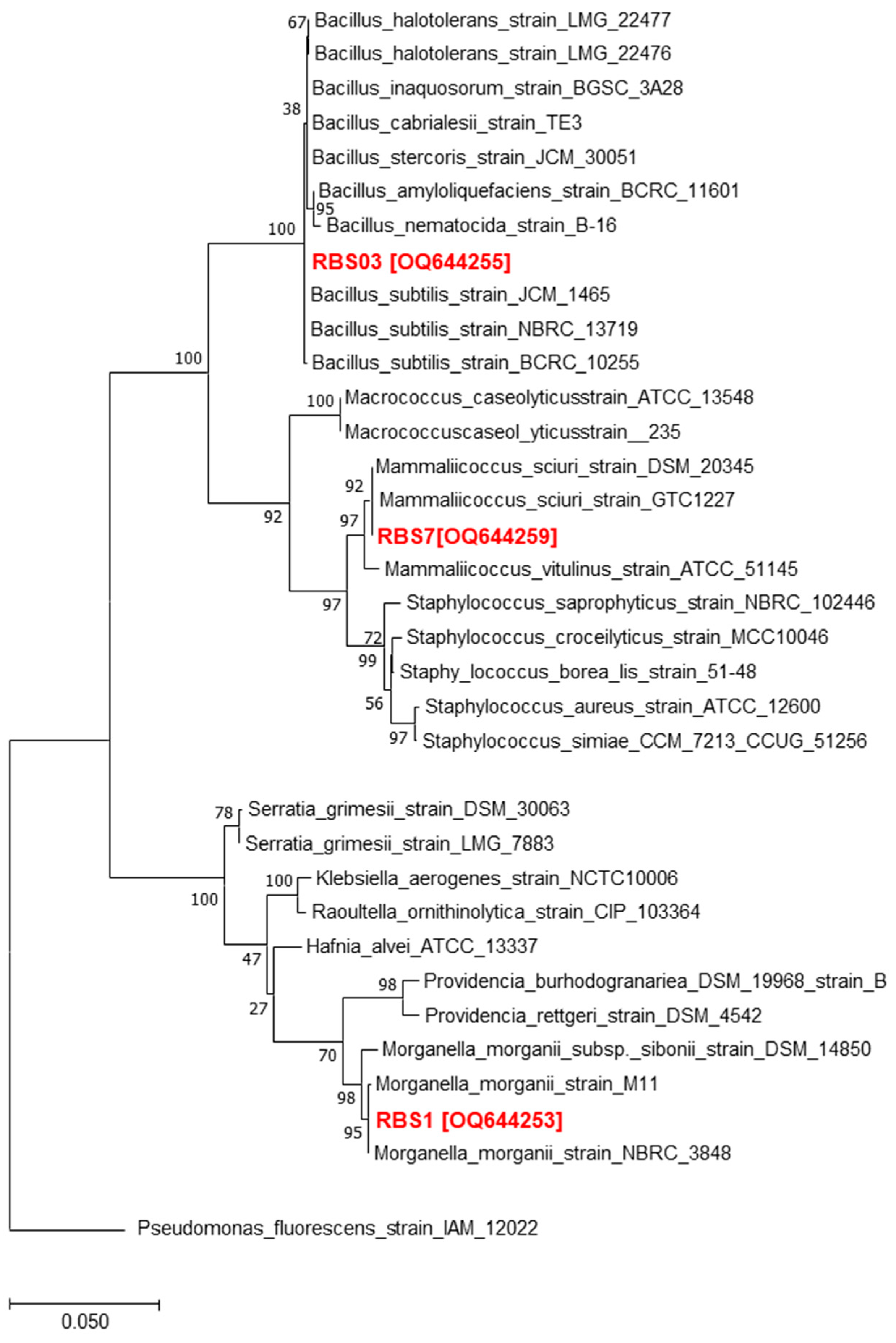 Microorganisms 11 01072 g001