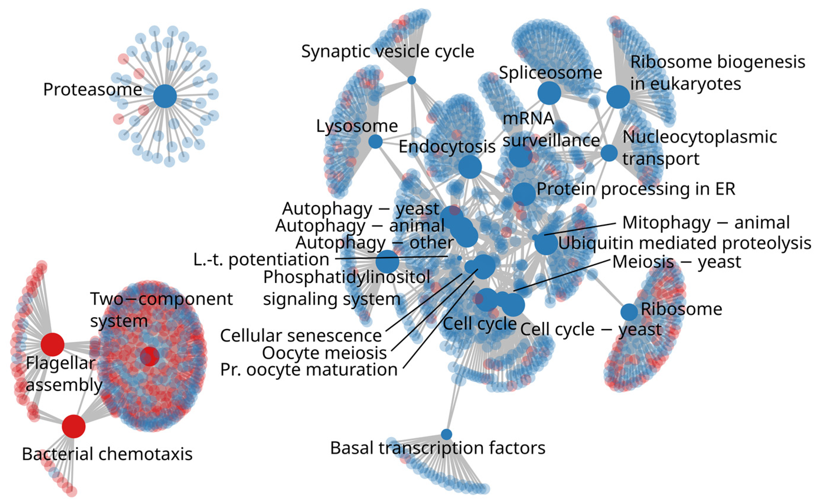 Microorganisms 11 01116 g007 Microorganisms 11 01116 g007