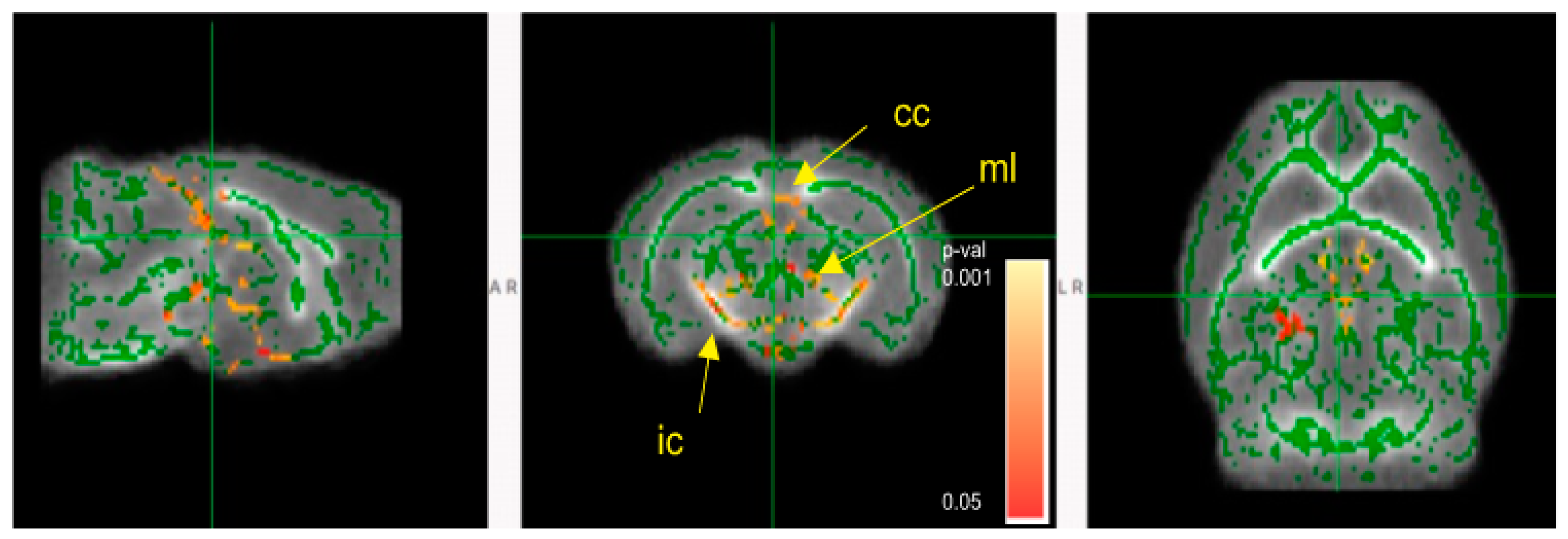 Microorganisms 11 01131 g010
