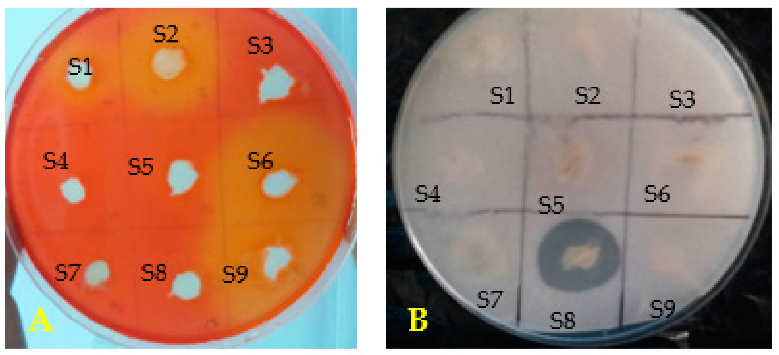 Microorganisms 11 01165 g002 Microorganisms 11 01165 g002