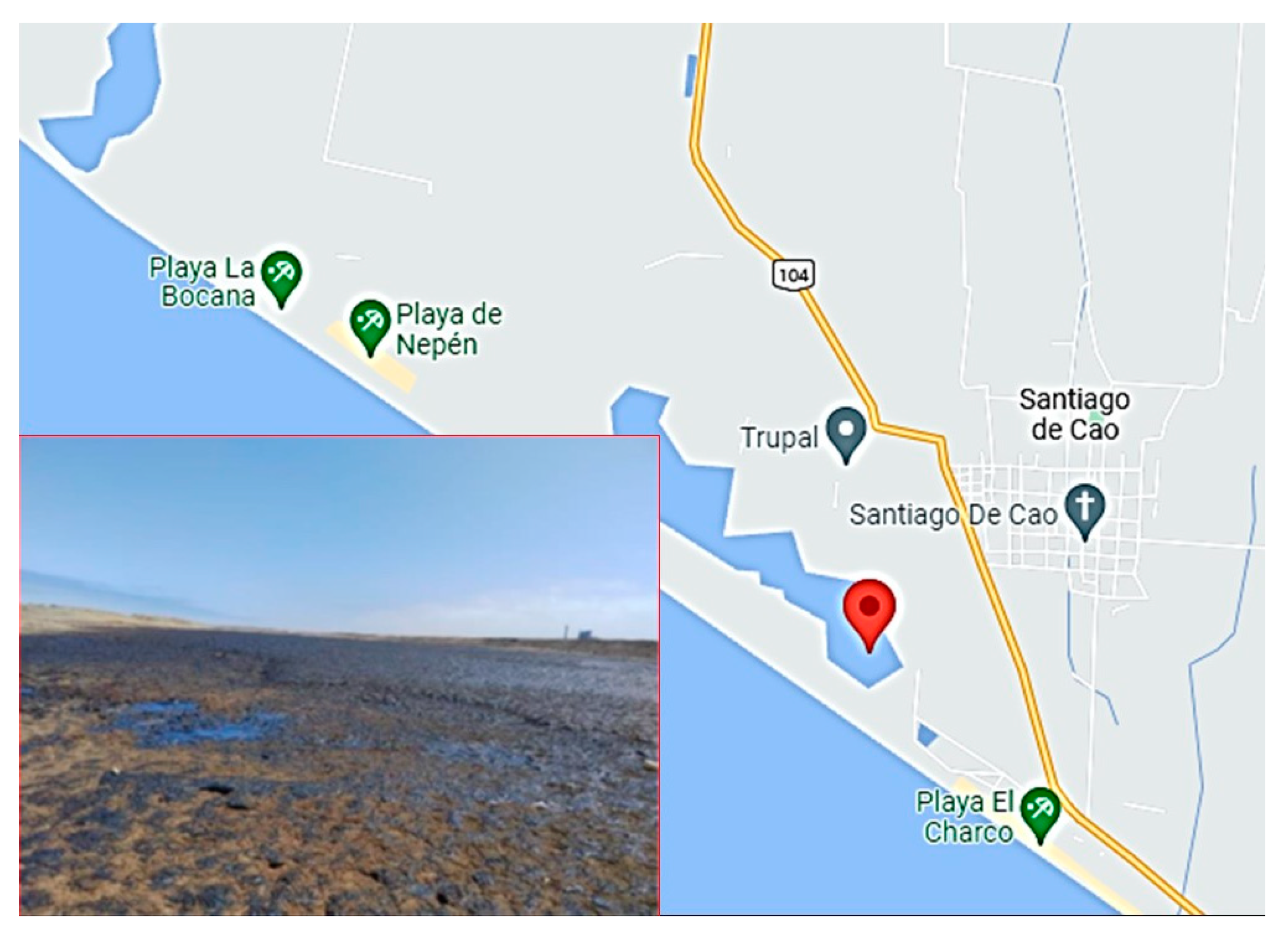 Microorganisms 11 01168 g001