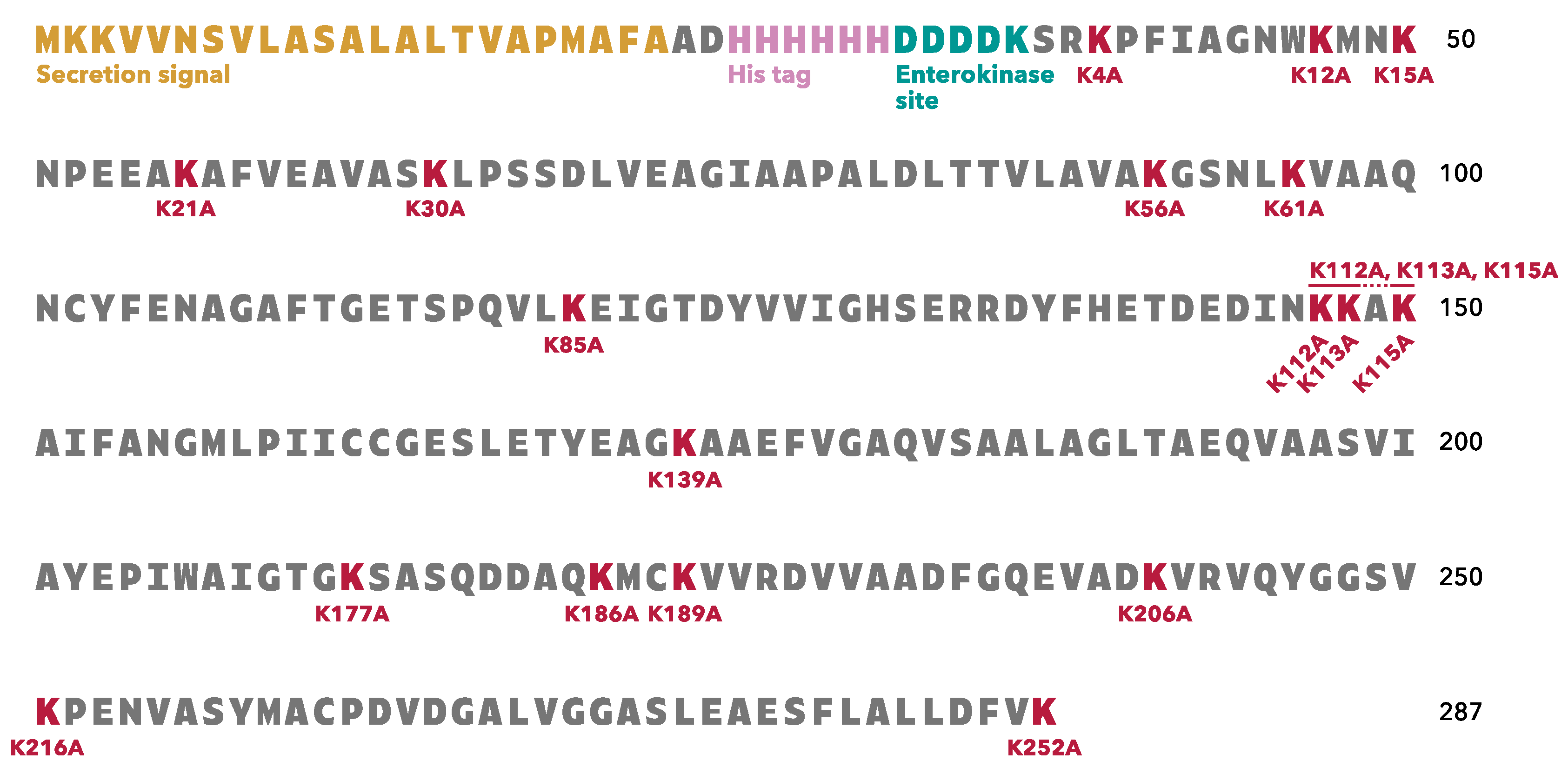 Microorganisms 11 01198 g001