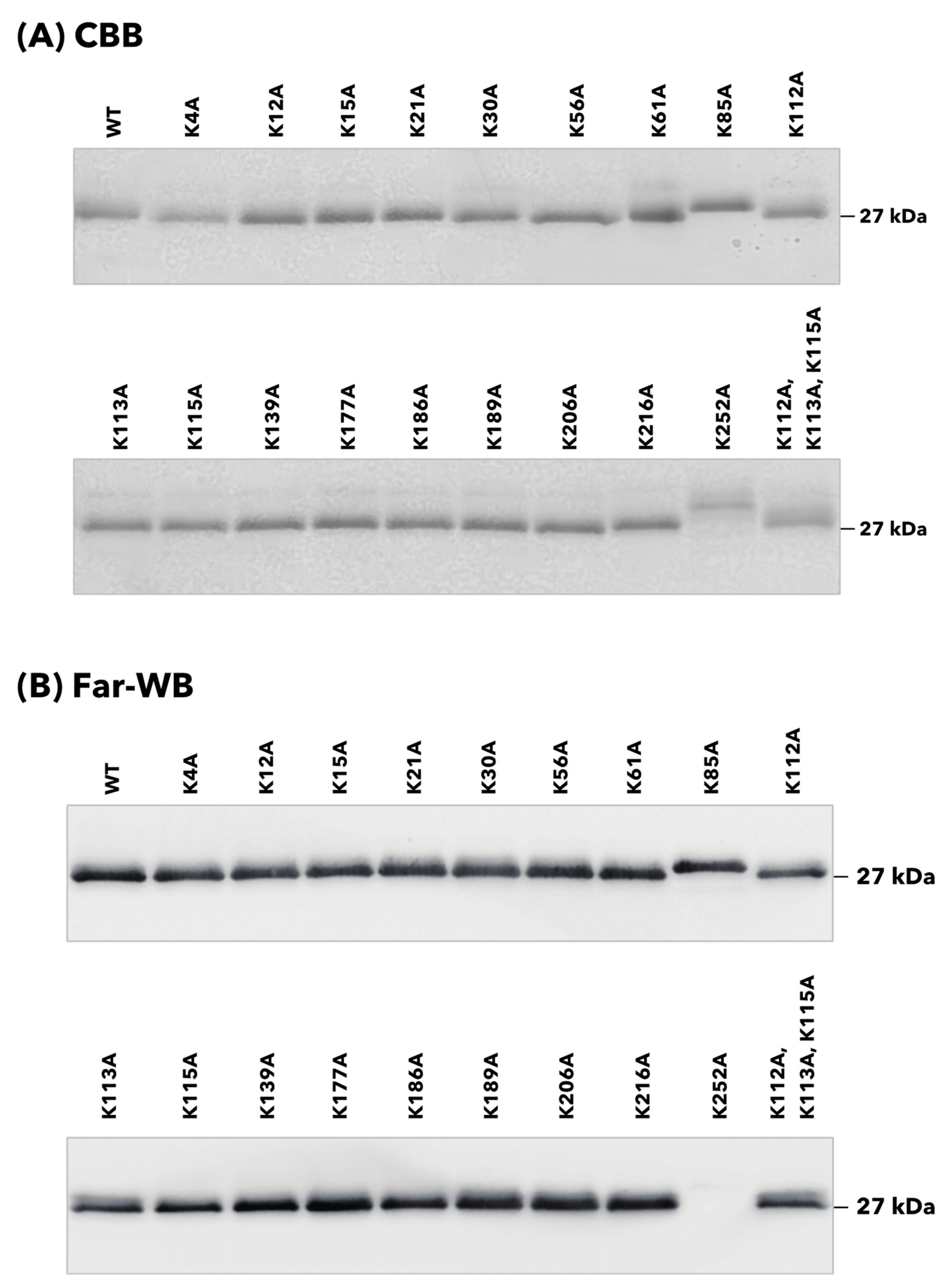 Microorganisms 11 01198 g002